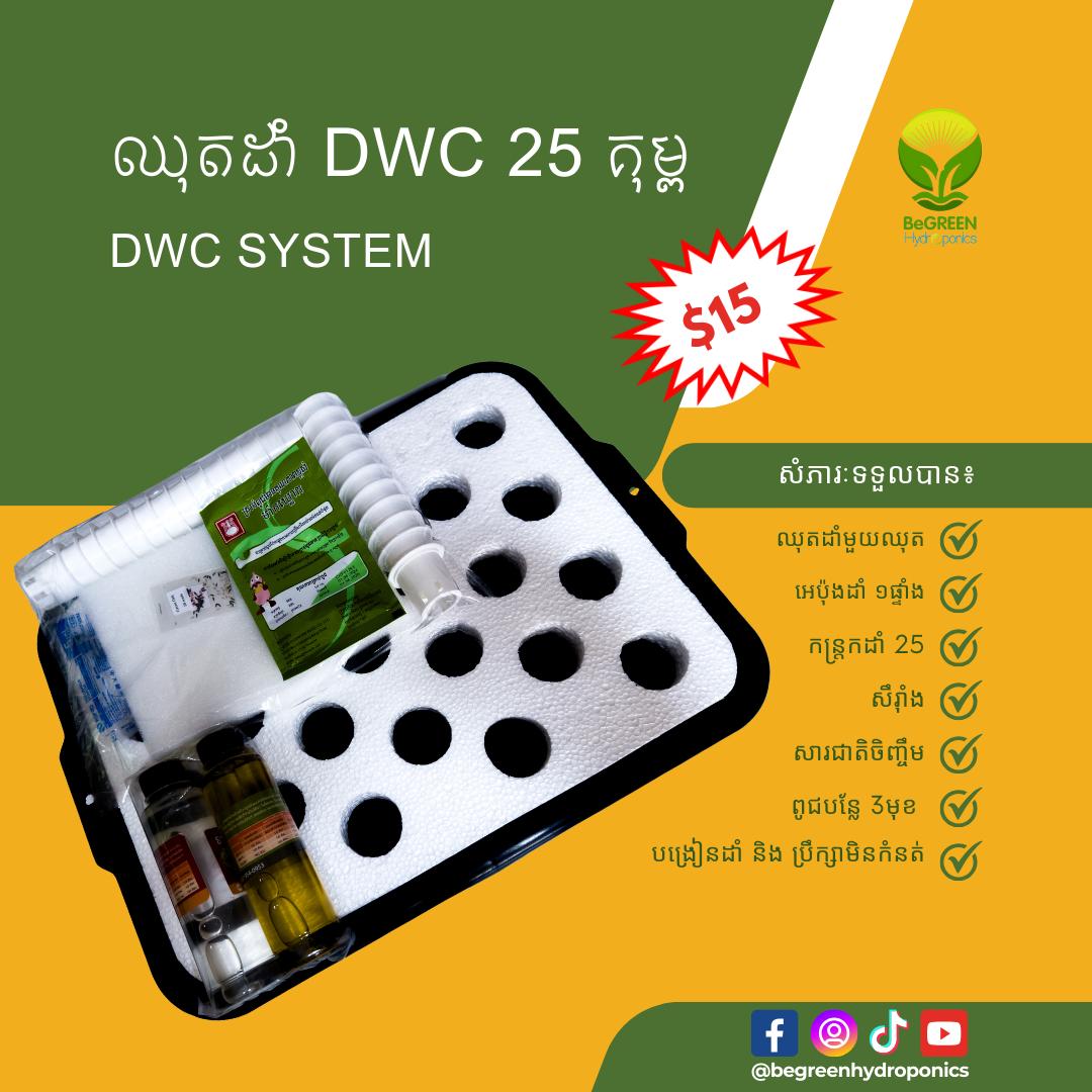 ឈុតដាំធុង 25គុម្ព