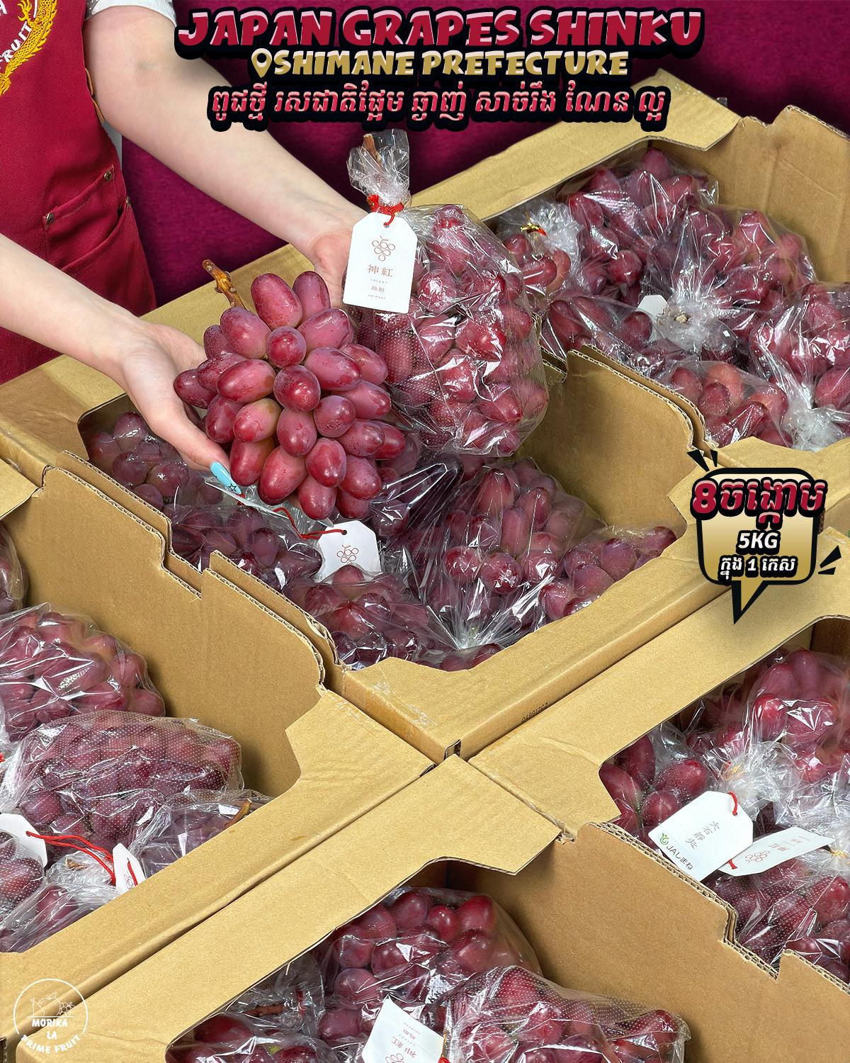 Japan Grapes Shinku #8