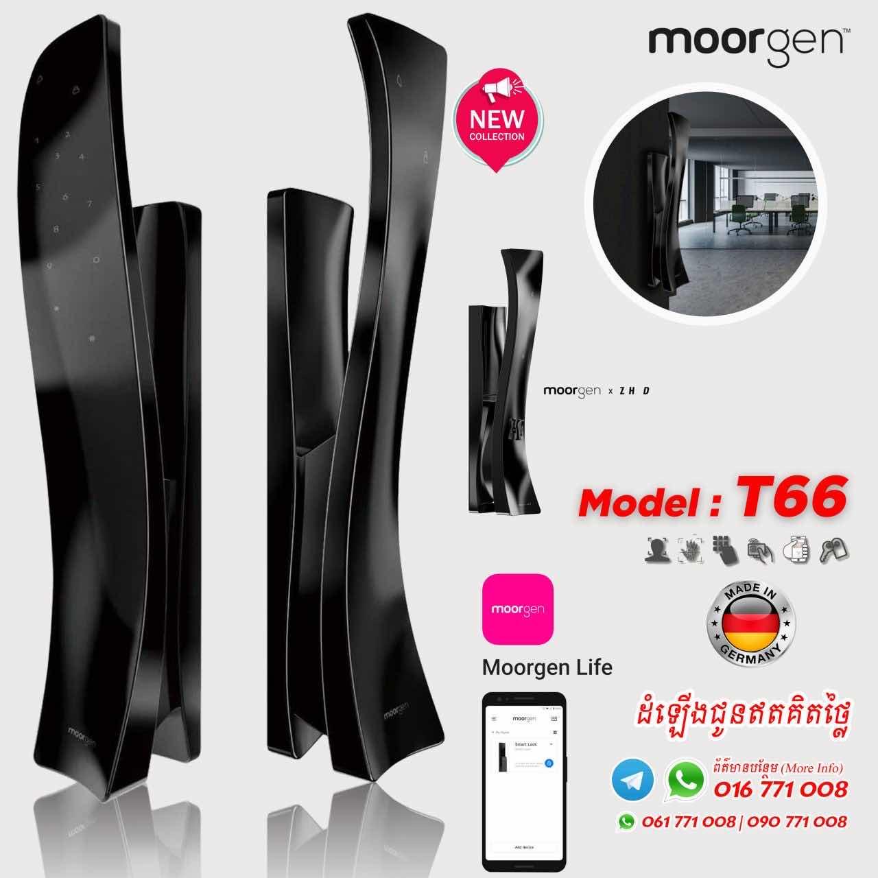 T66