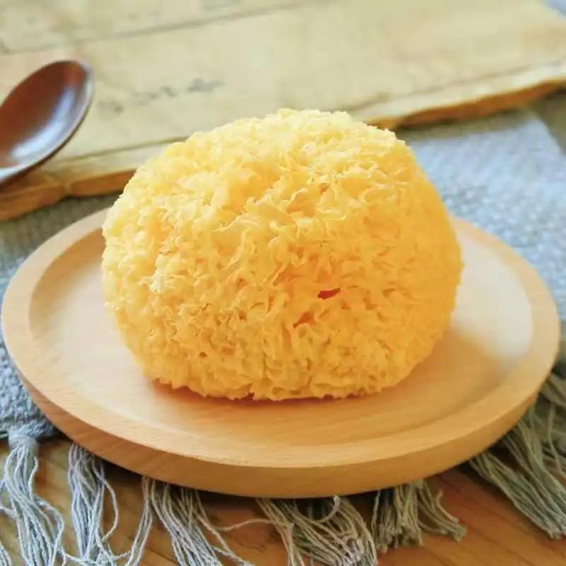 ផ្សិតផ្ការថ្ម1ផ្ការ