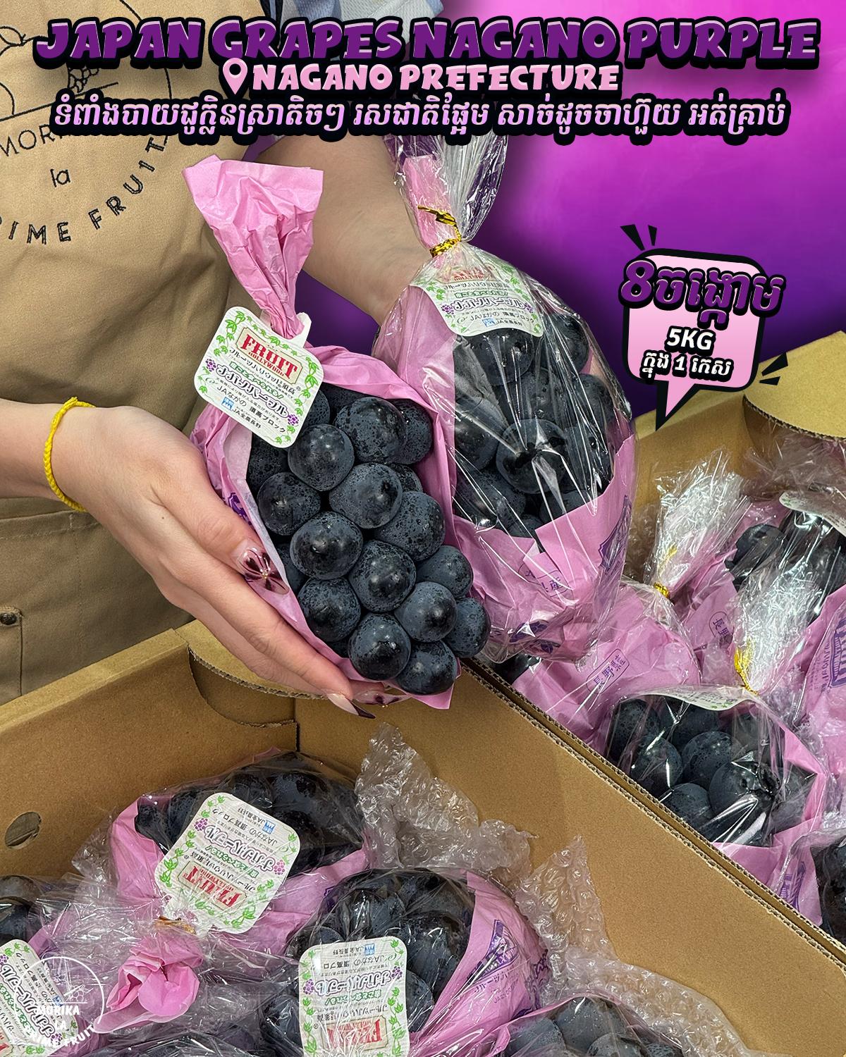 Japan Grapes Nagano Purple #8 🍇 