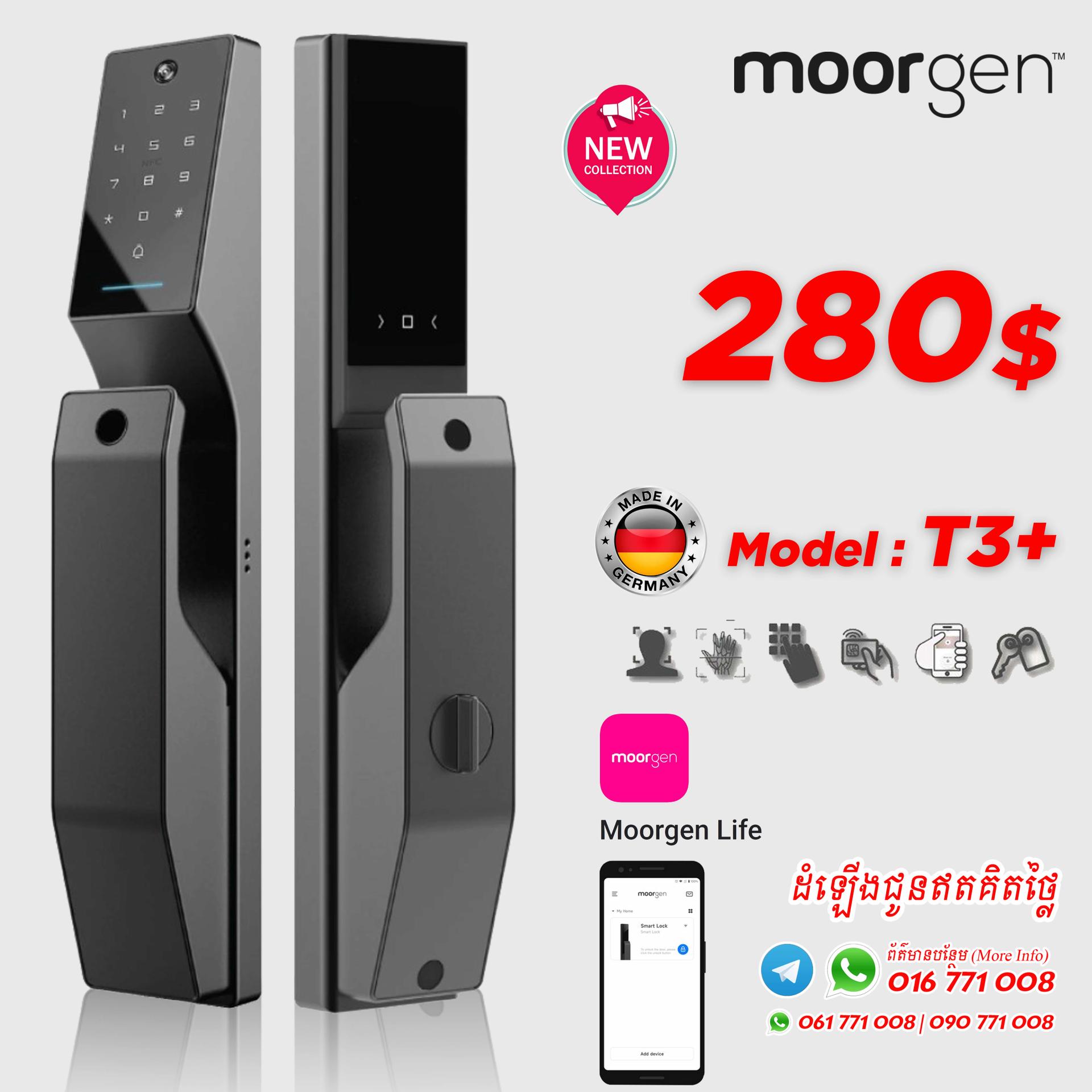 T3+