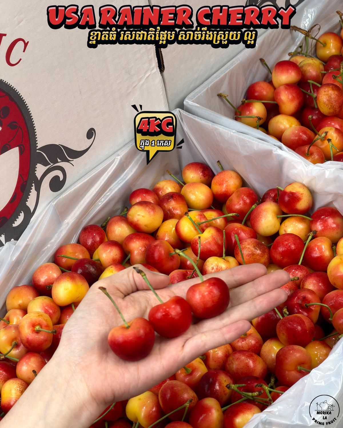Premium Fresh Rainer Cherry (Gold Cherry) 4kg