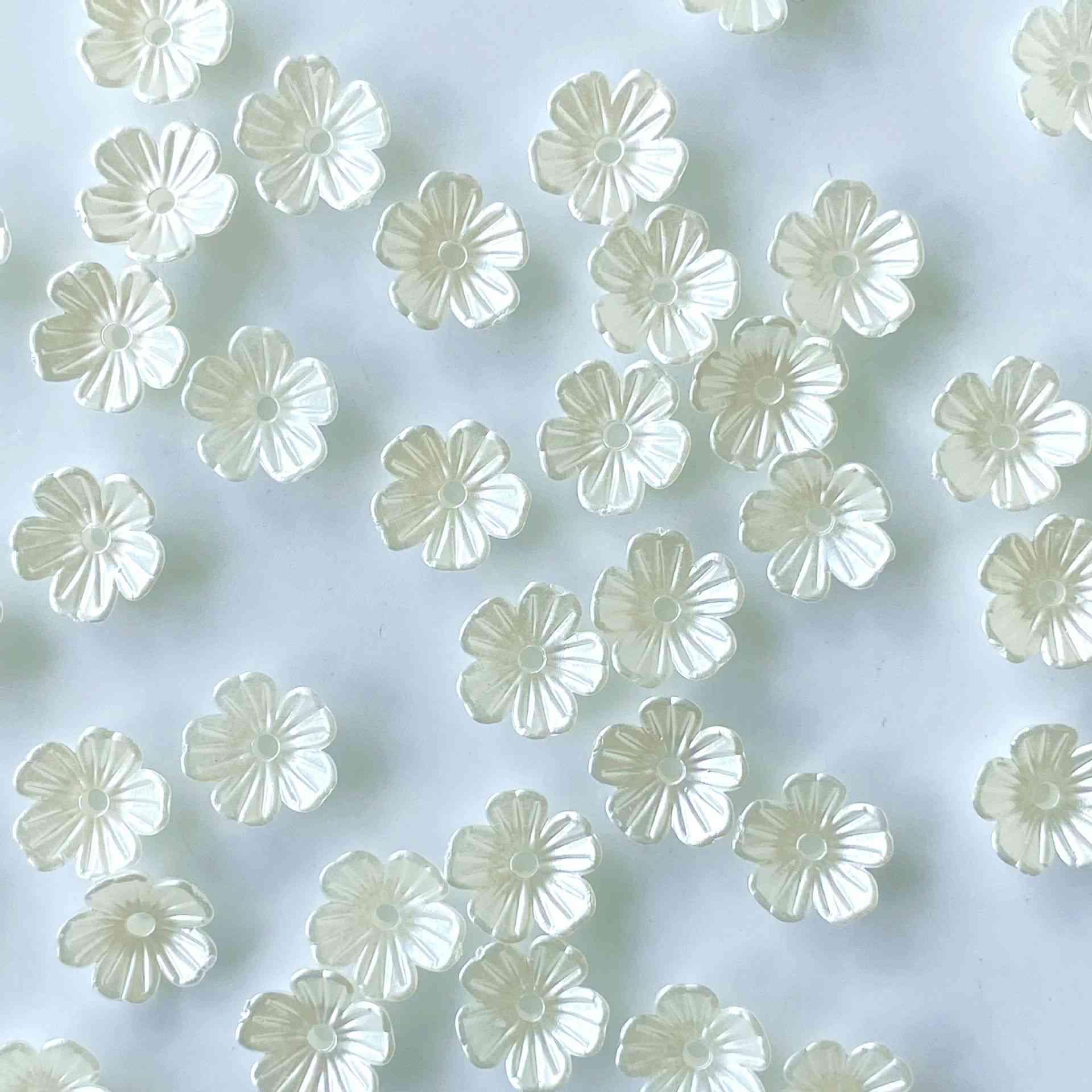Pearl-flower#01