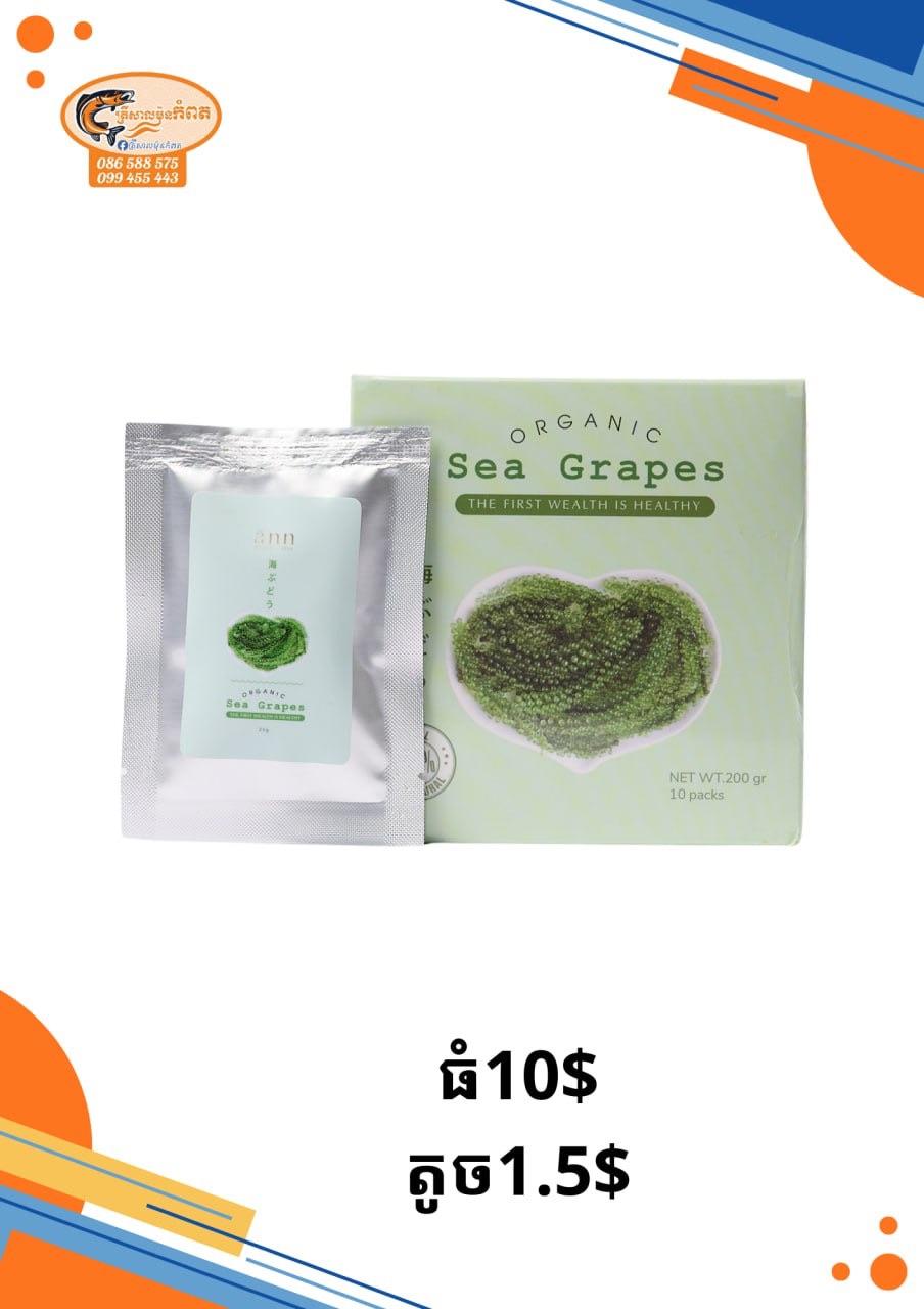 សារ៉ាយទំពាំងបាយជូ