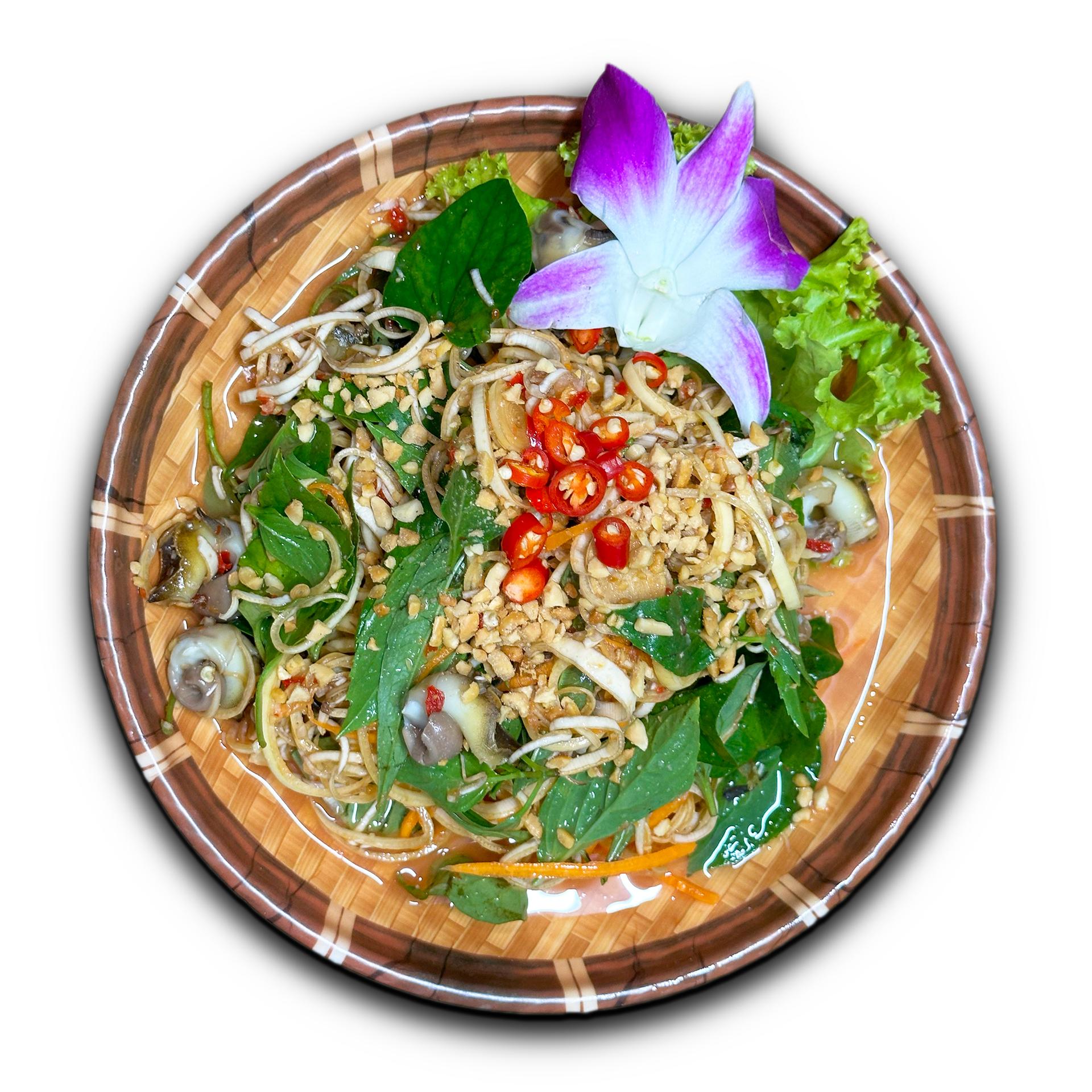 ខ្យងប៉ារ៉ាញាំត្រយ៉ូងចេក