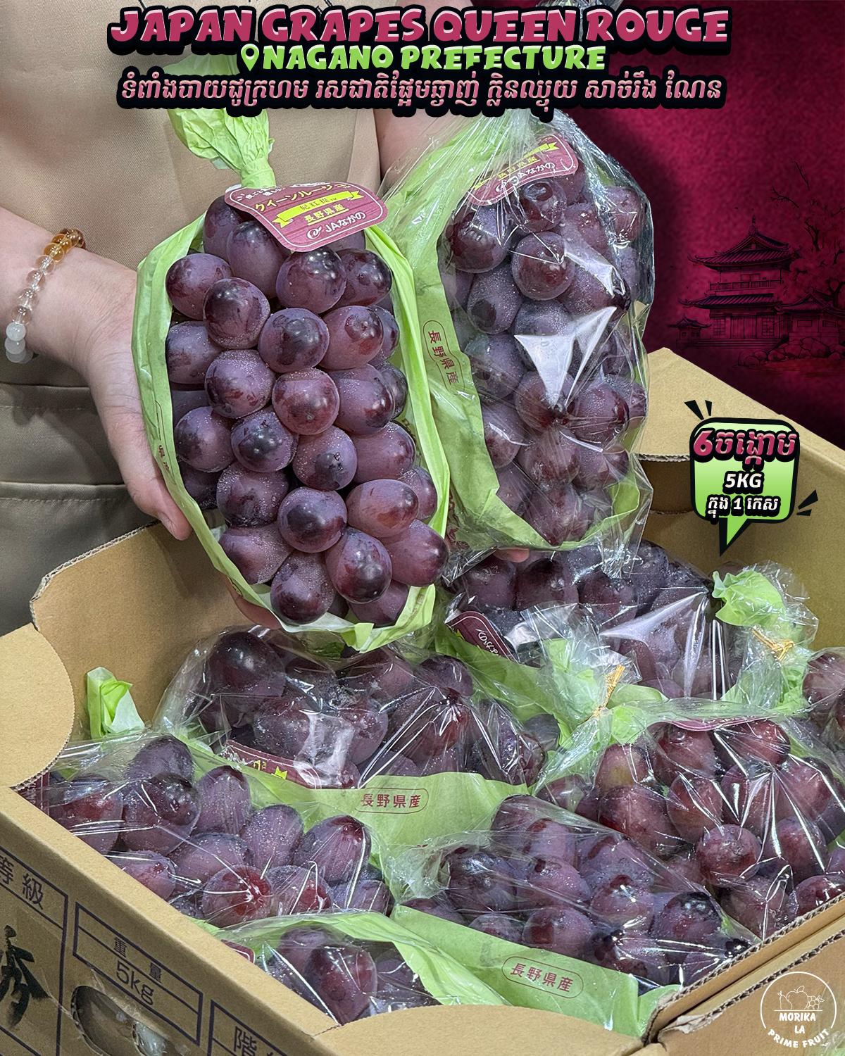 Japan Grapes Queen Rouge #6