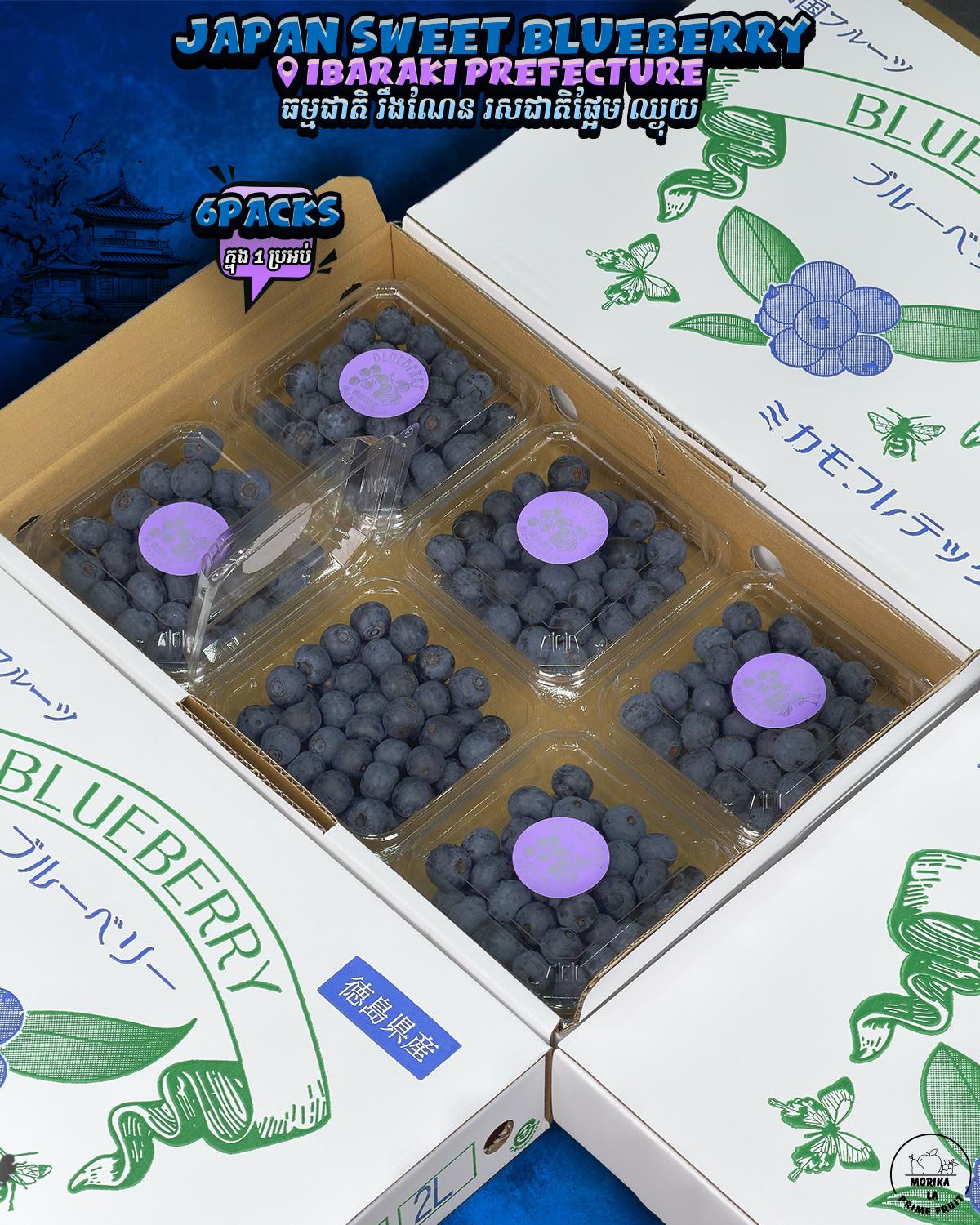 Japan Fresh Blueberry Tokushima 6packs 🫐 
