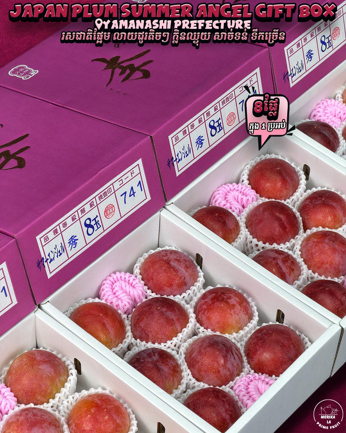 Japan Plum Summer Angel Gift Box