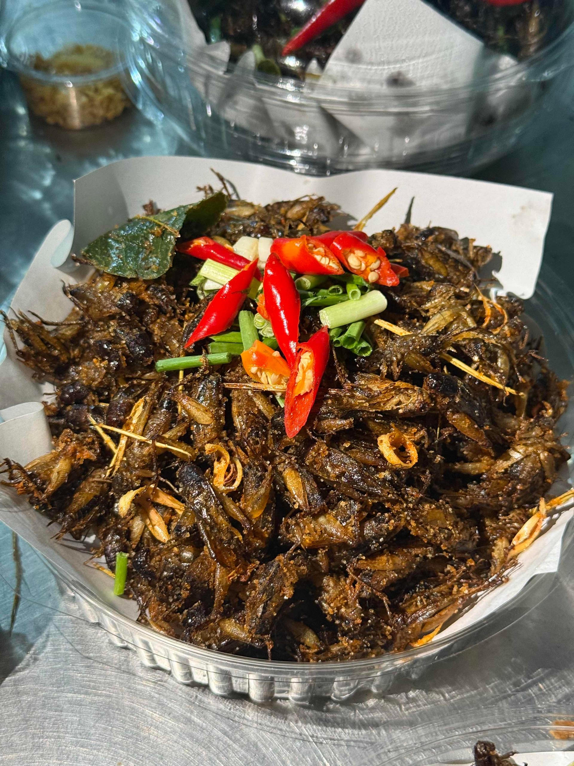 ចង្រិតសរពង​ បំពង​ 