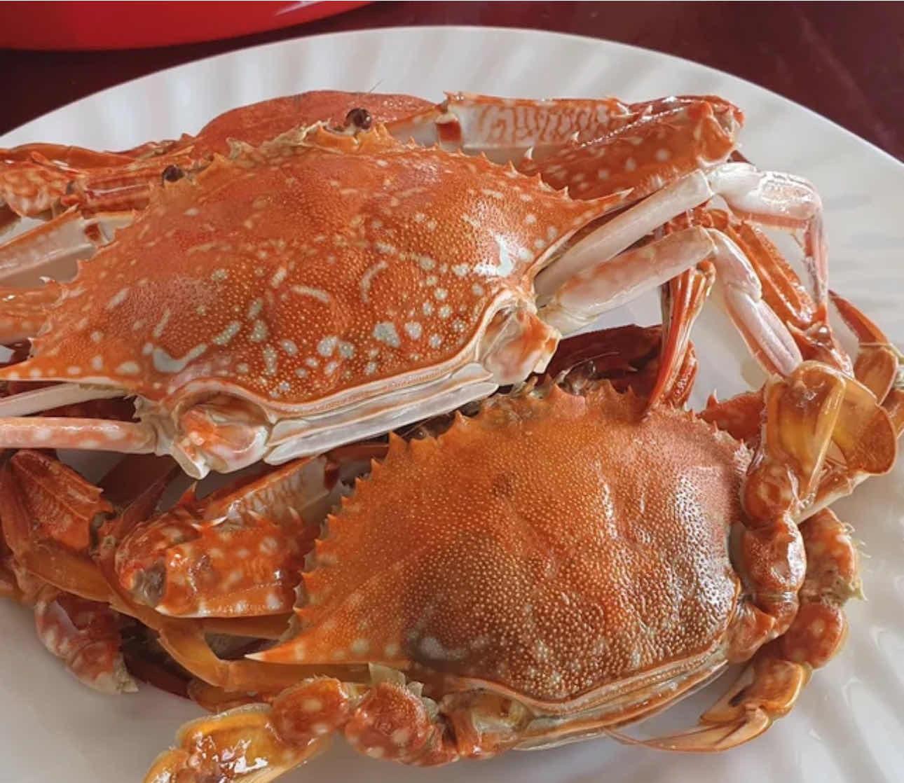 ក្តាមសេះចំហ៊ុយ