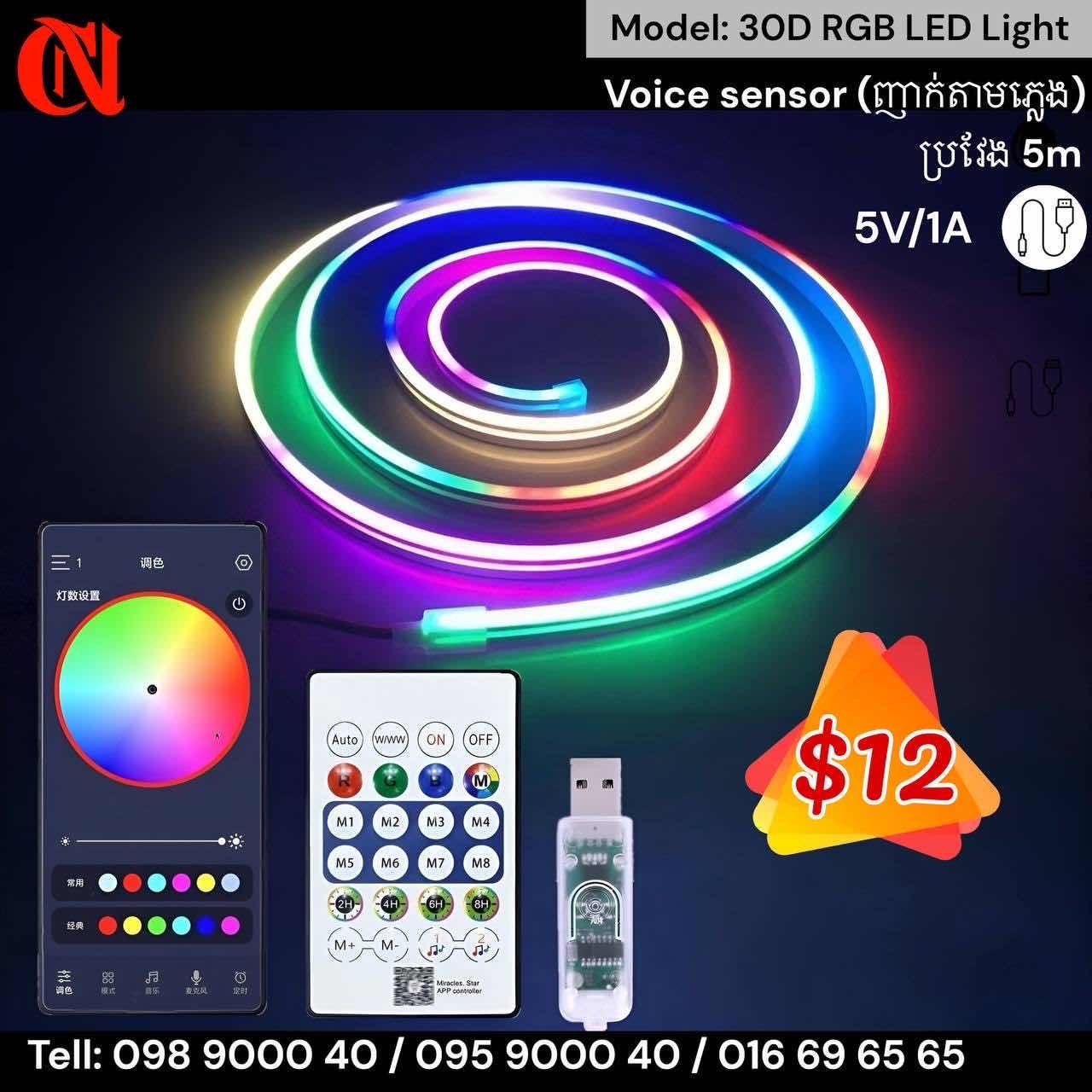 30D RGB LED String Light