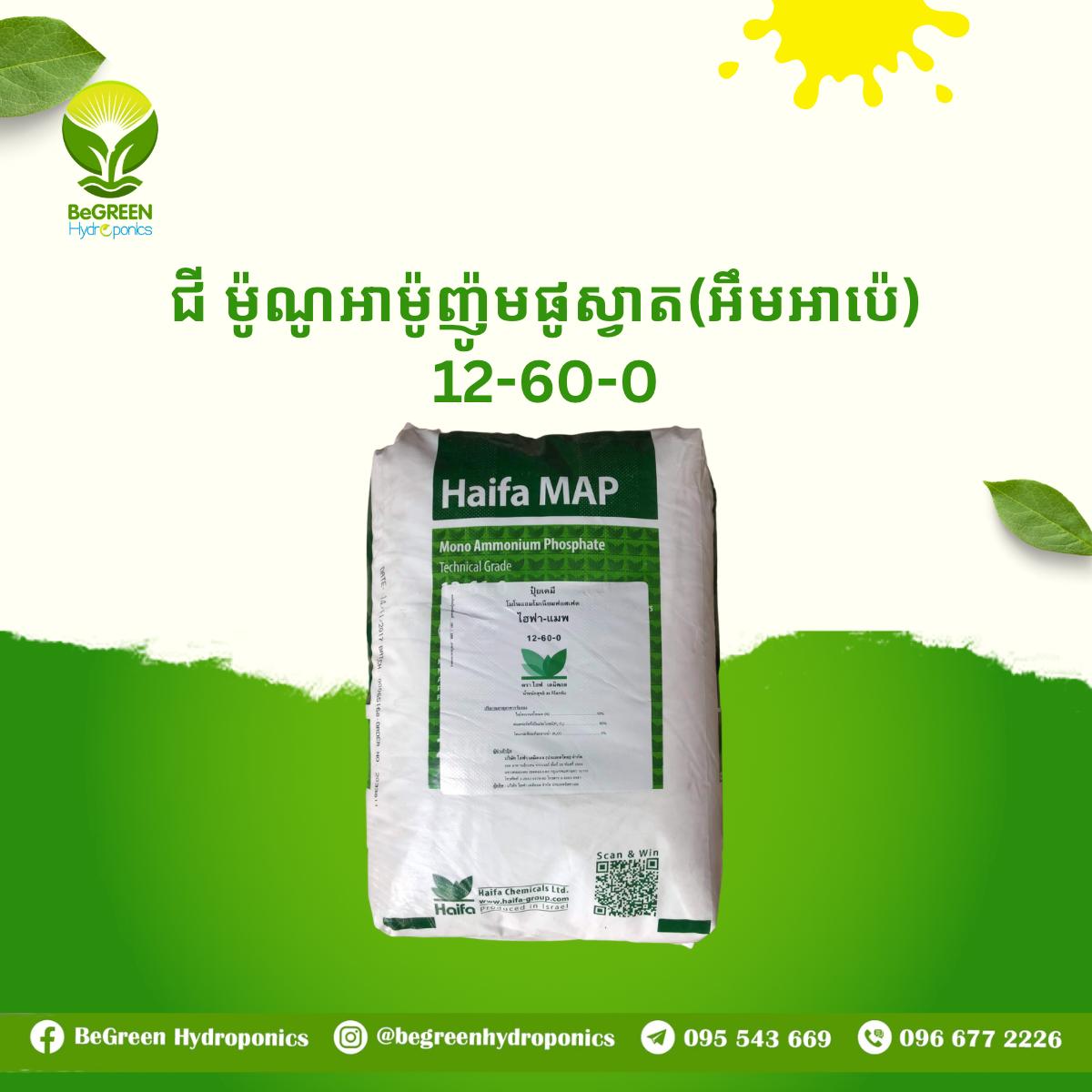 ម៉ូណូអាម៉ូញ៉ូមផូស្វាត Haifa Map