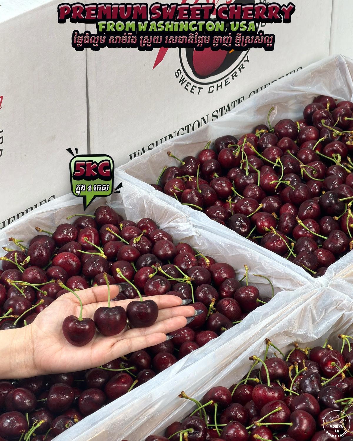 Premium Red Cherry 5kg 🍒 