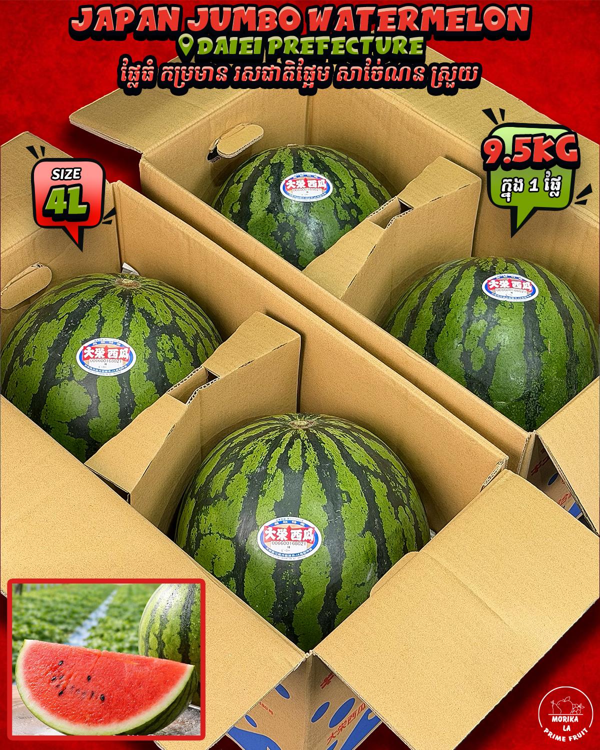Japan Super Jumbo Daiei Watermelon 4L 🍉 