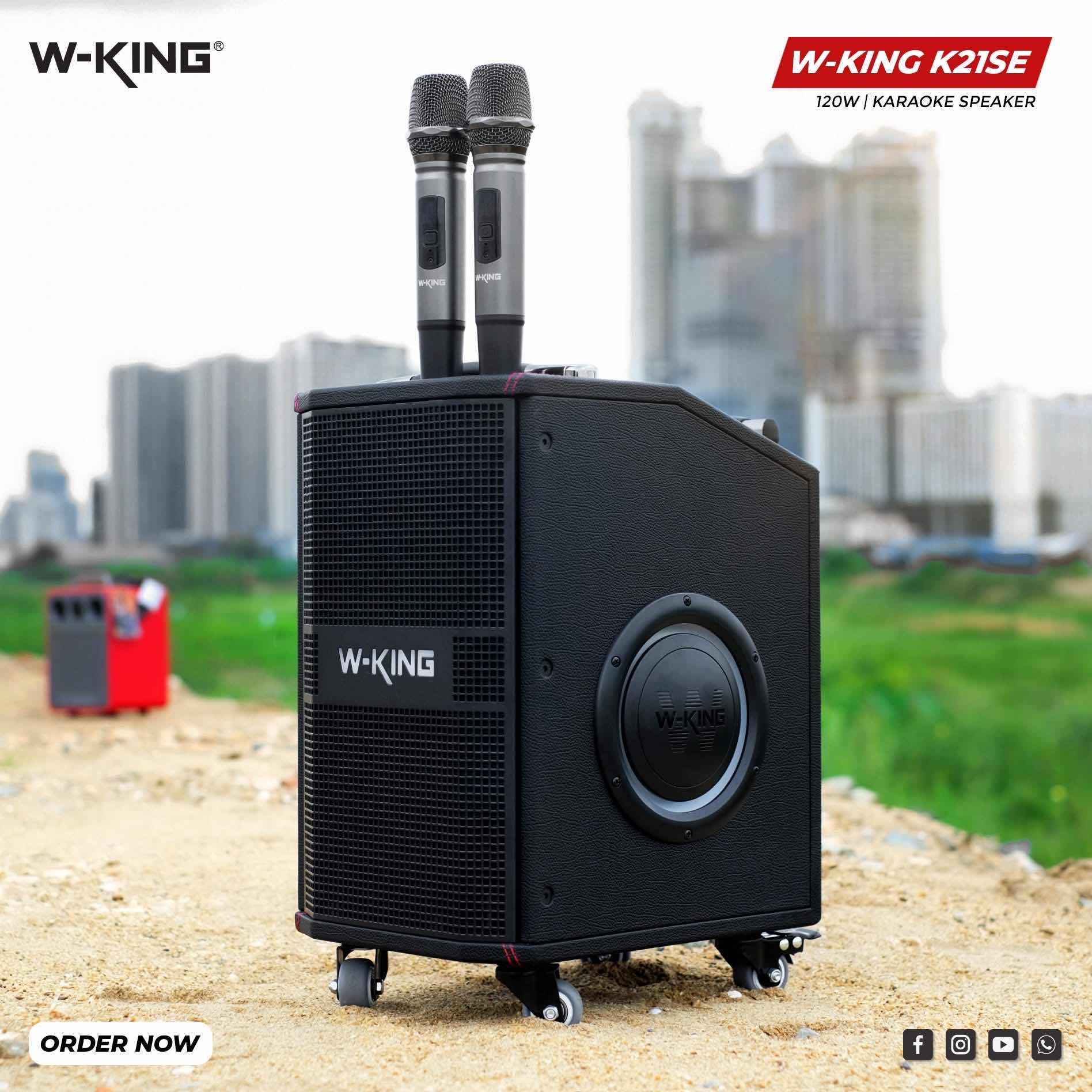 W-King 21SE