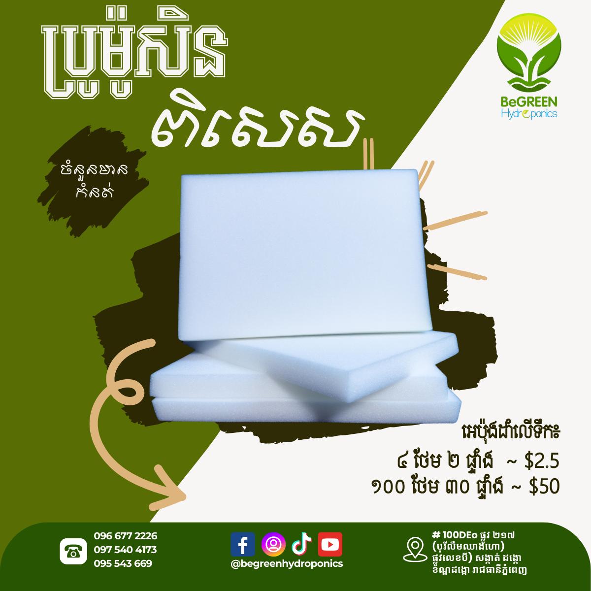 អេប៉ុងដាំលើទឹក