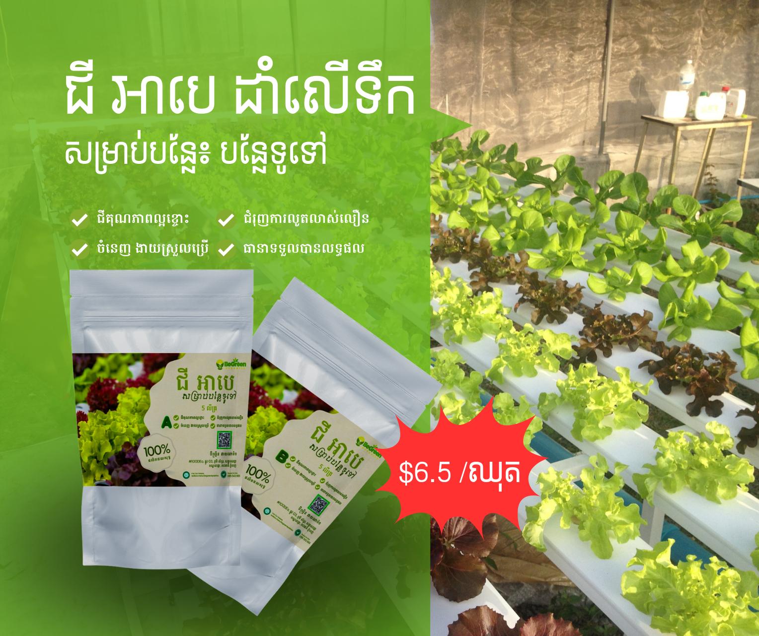 ជីអាបេ ម្សៅ សម្រាប់ សាឡាត់បរទេស