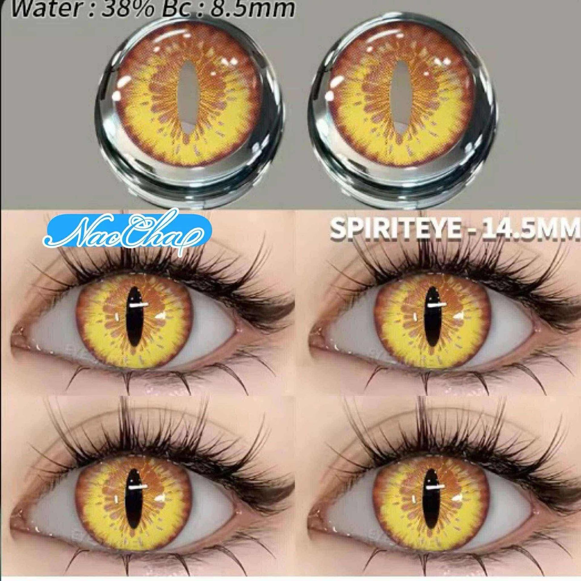 Dragon Eye