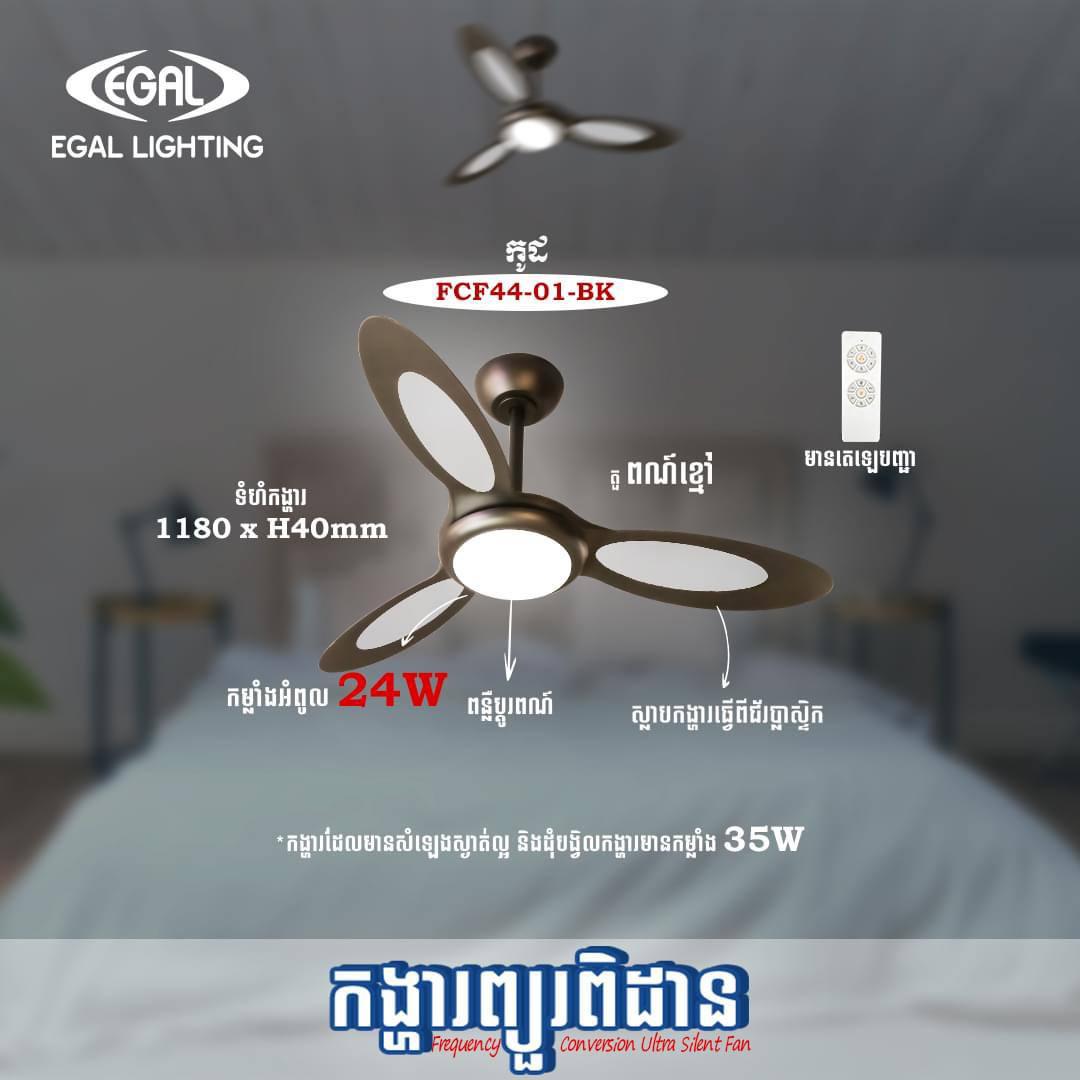 កង្ហាលស្លាបដែក