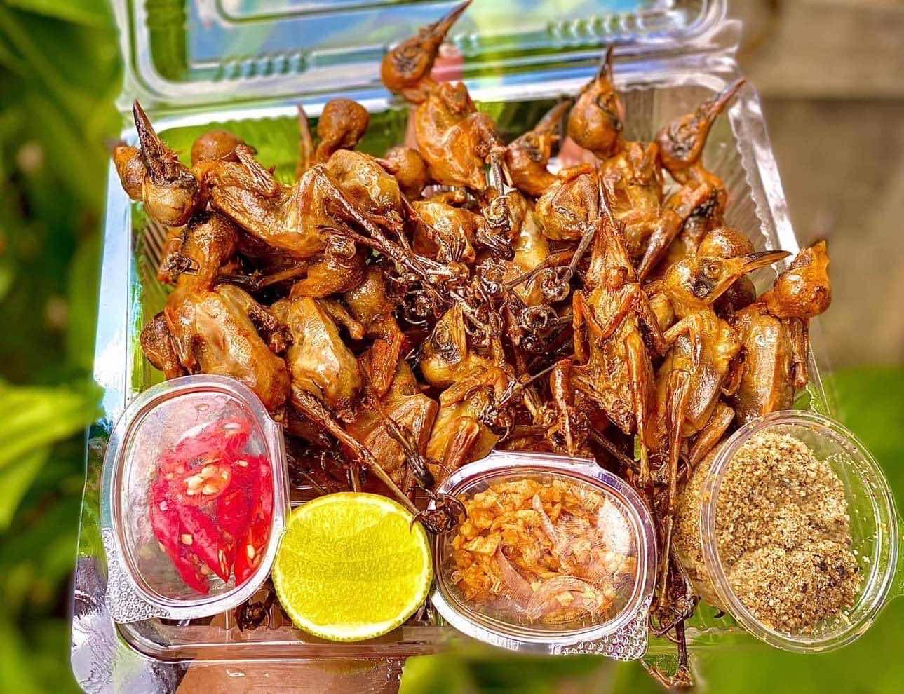 កូនចាបបំពង