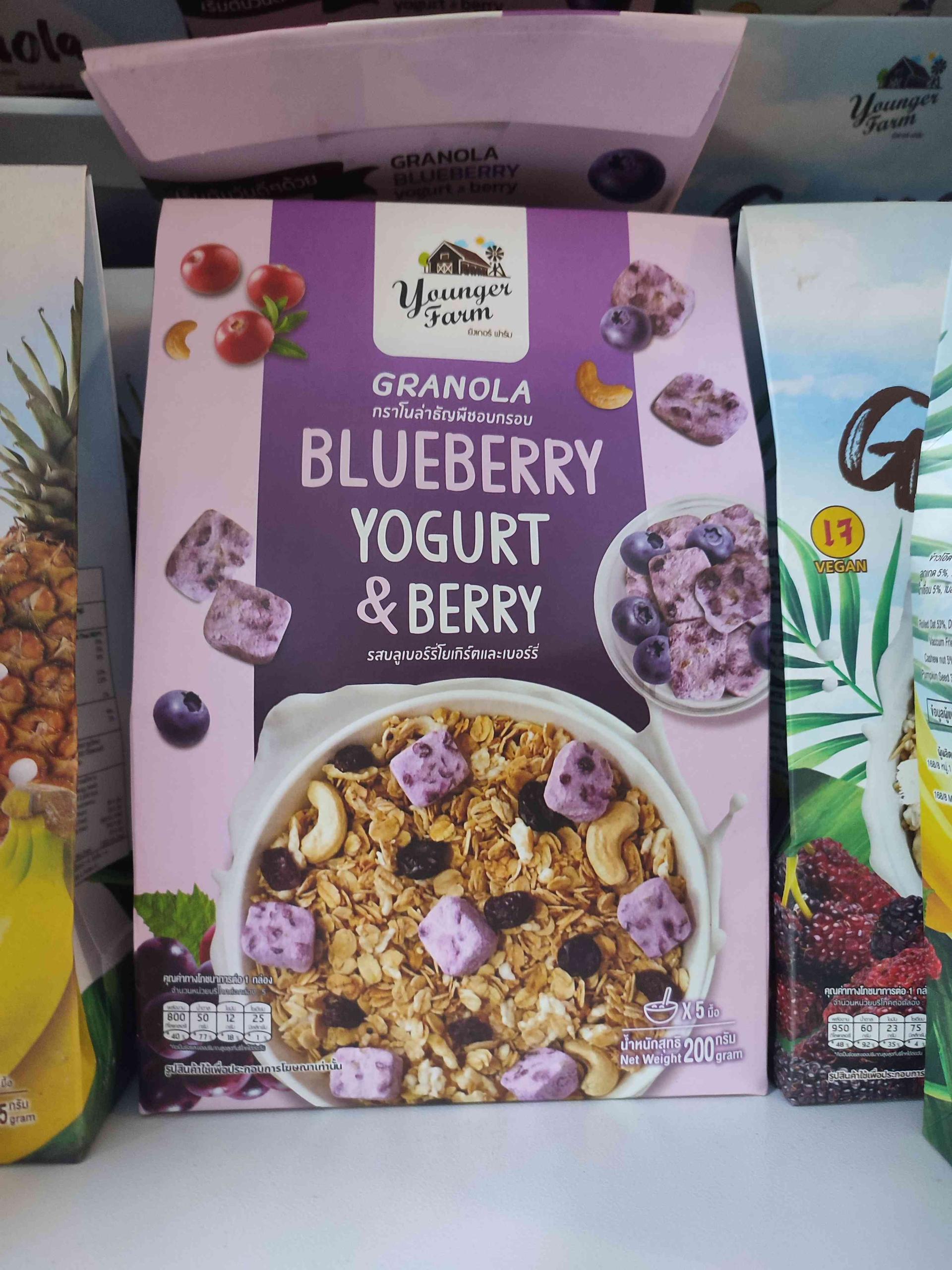 Granola blueberry yogurt