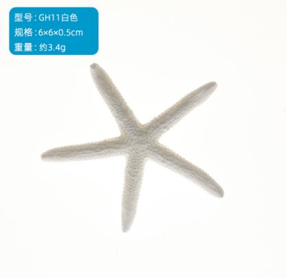 Size L(6)*W(6)*H(0.5)cm