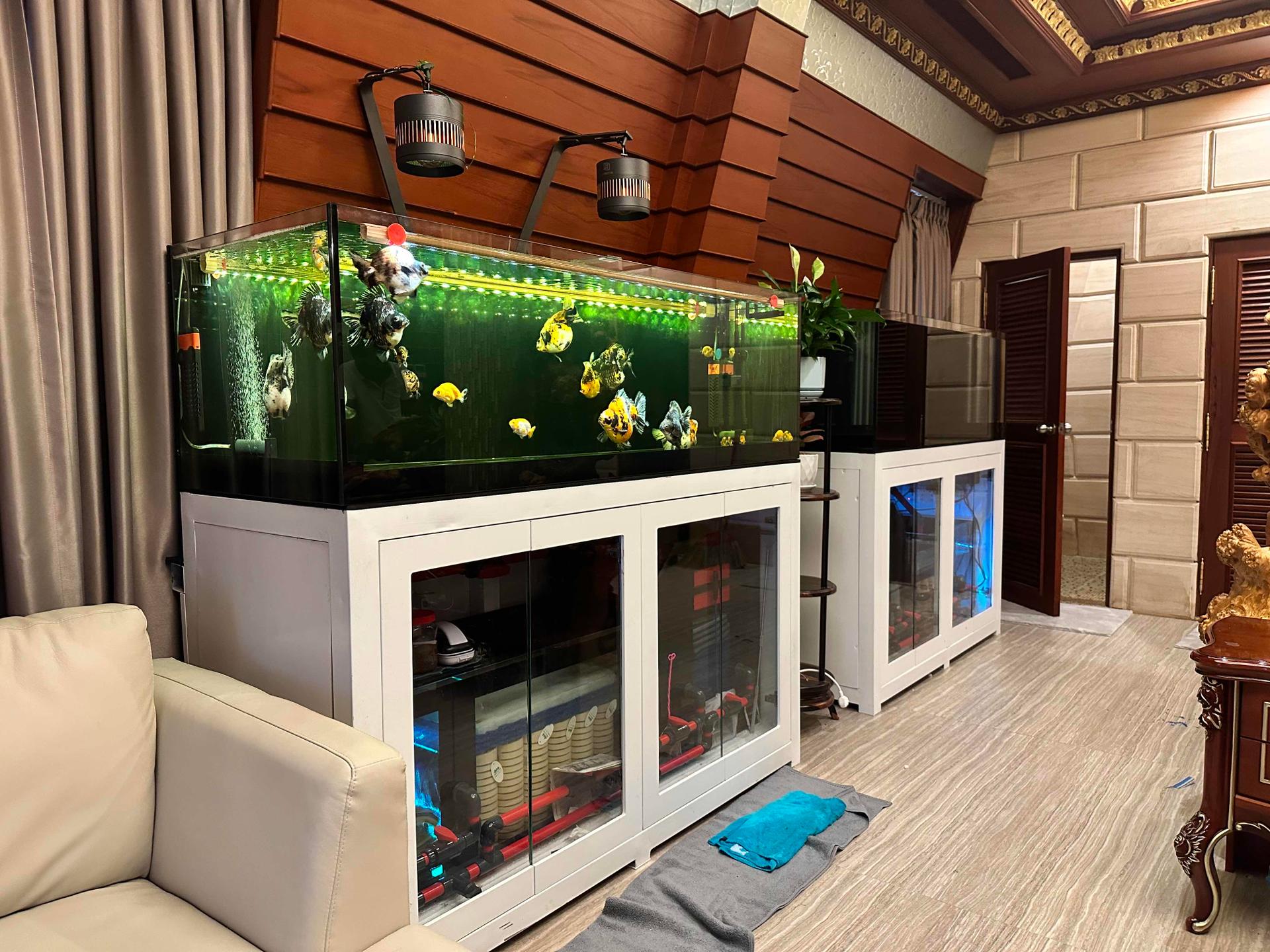 Tank size 160x50x60