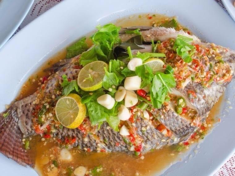 ត្រីក្រហមចំហុយក្រូចឆ្មា