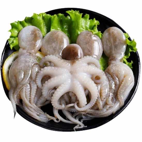 Octopus-មឹក-쭈꾸미