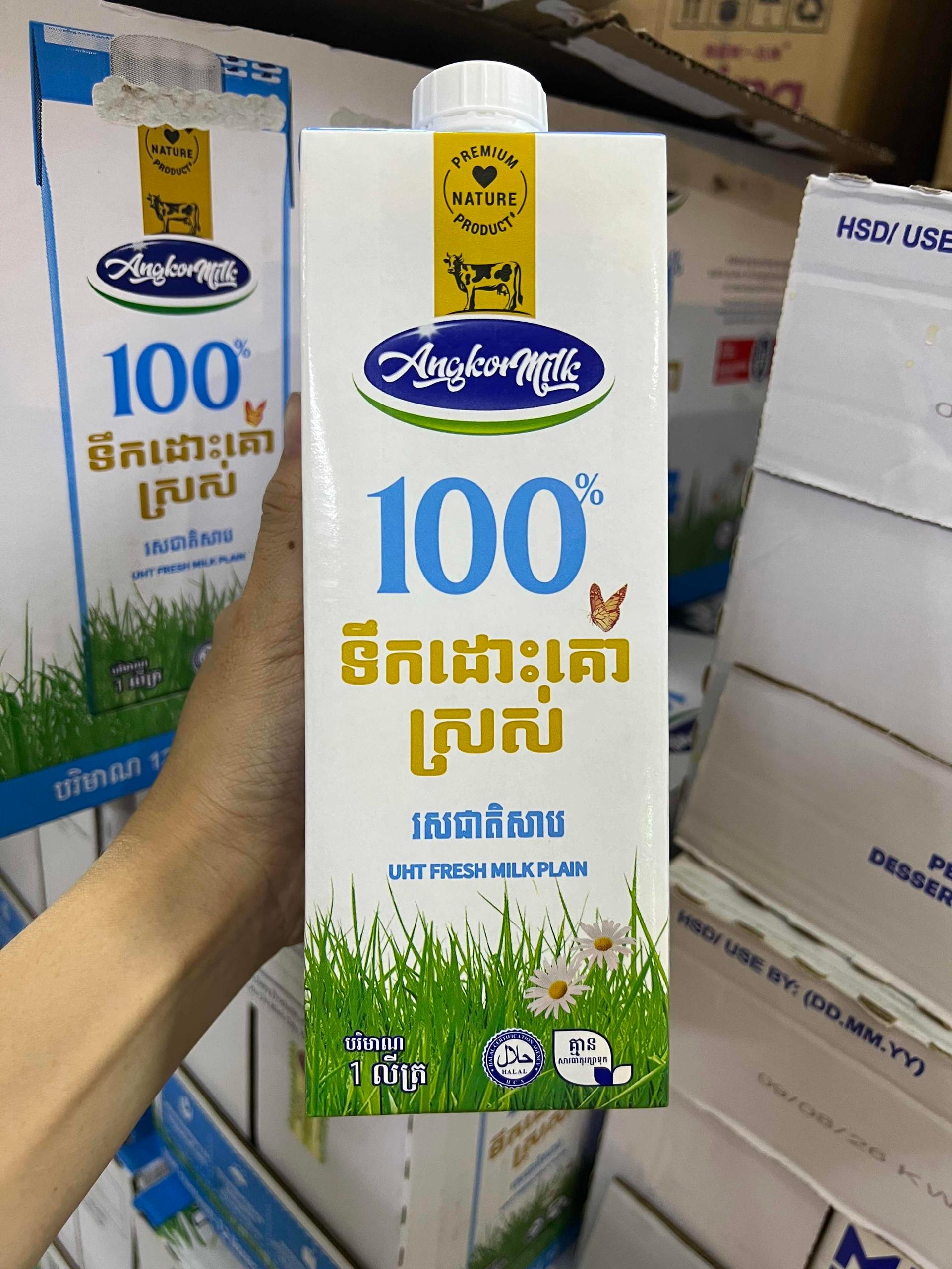 ទឹកដោះគោស្រស់Angkor Milk