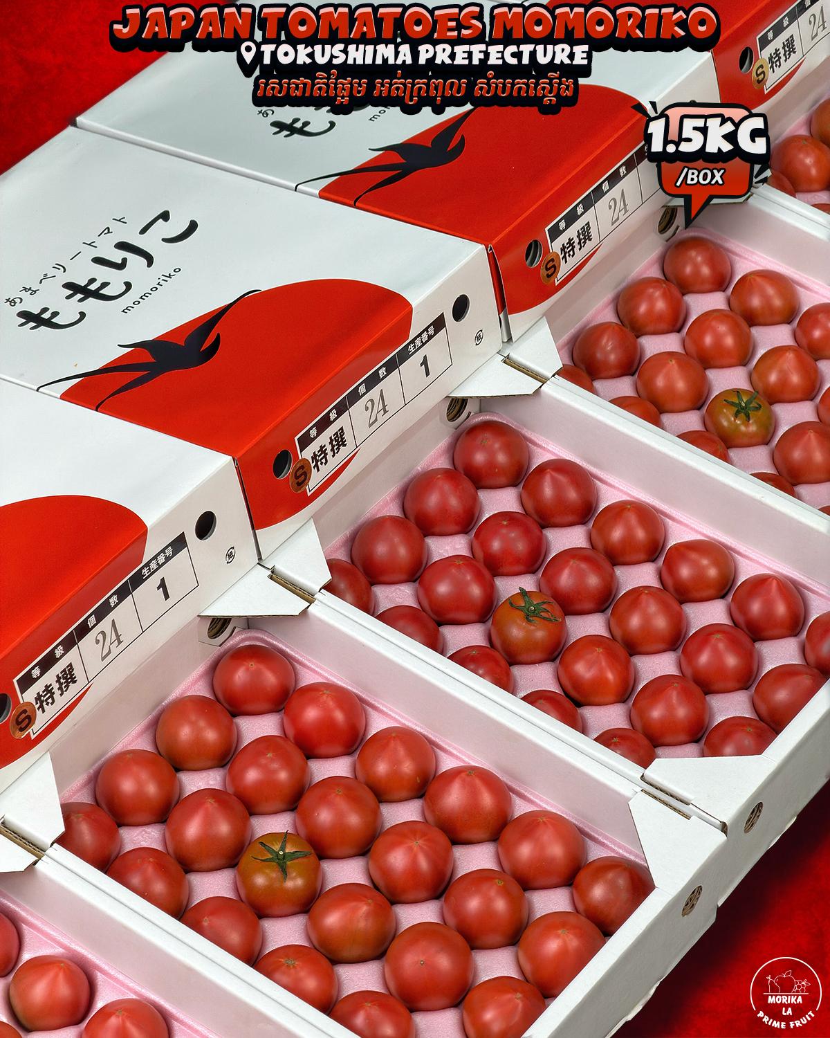 Japan Fresh Momoriko Tomatoes 1.5kg 🍅