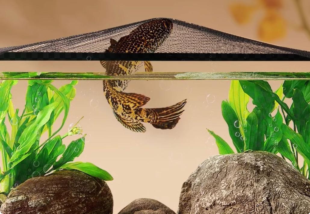 គំរបទូត្រី Fish Tank Magnetic Anti-jump Net 60*45cm, 80*40cm, 100*40cm, 100*50cm, 120*50cm