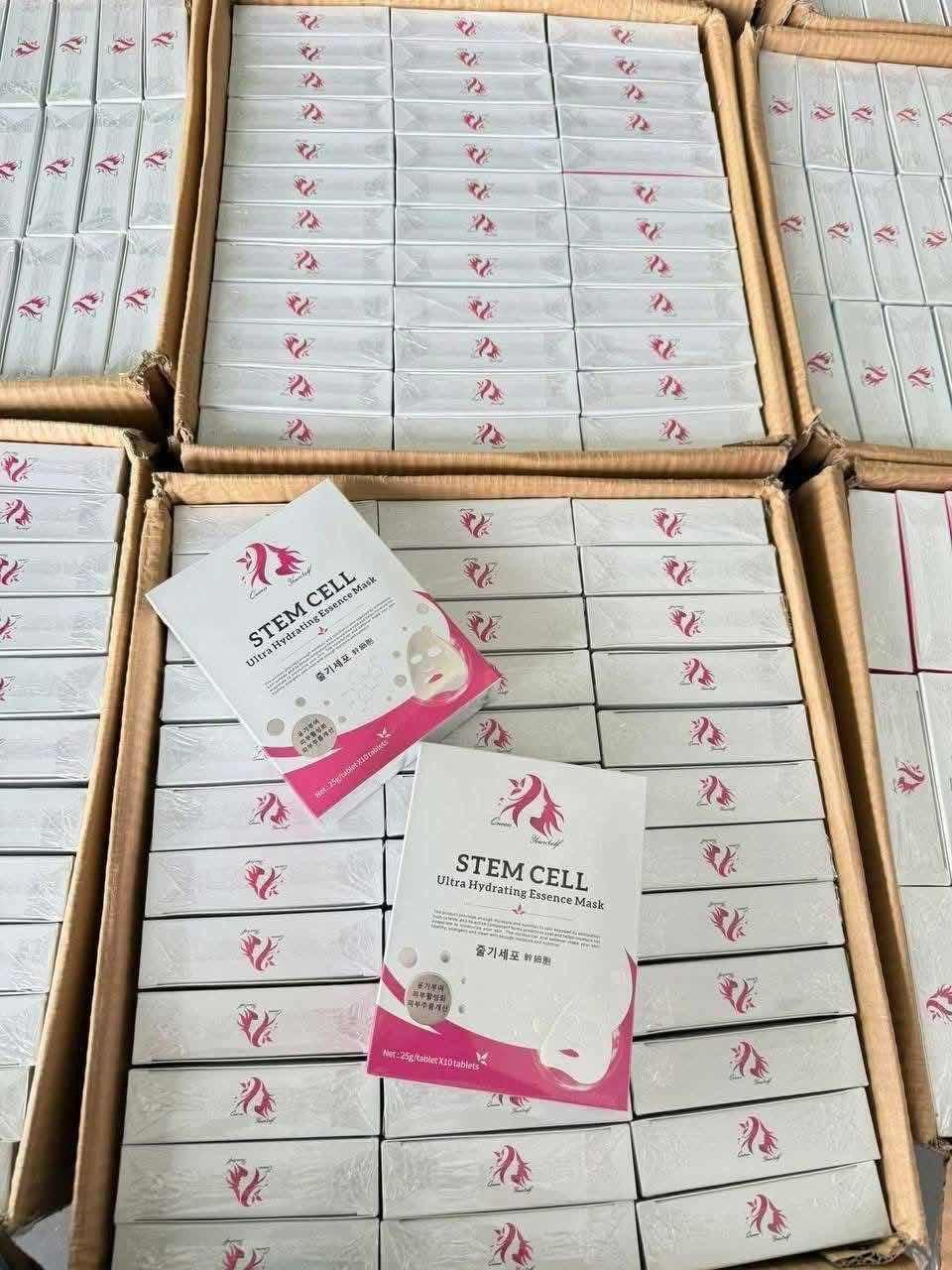 ម៉ាស stem cell