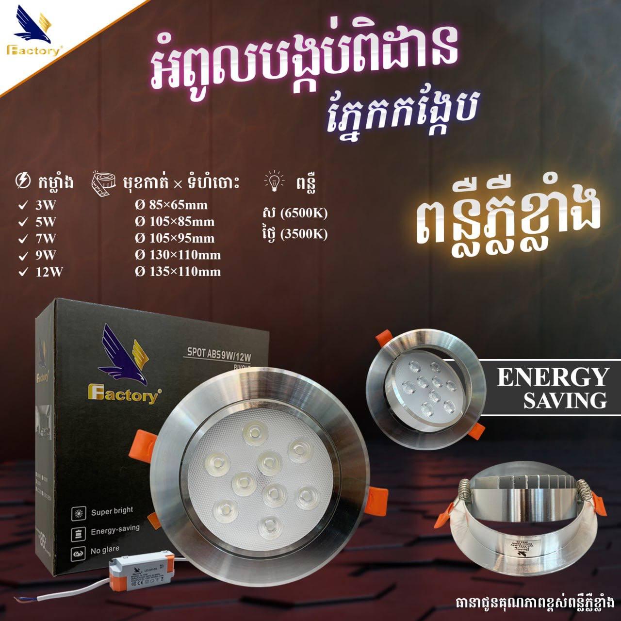 បង្កប់ពិដានភ្នែកកង្កែប