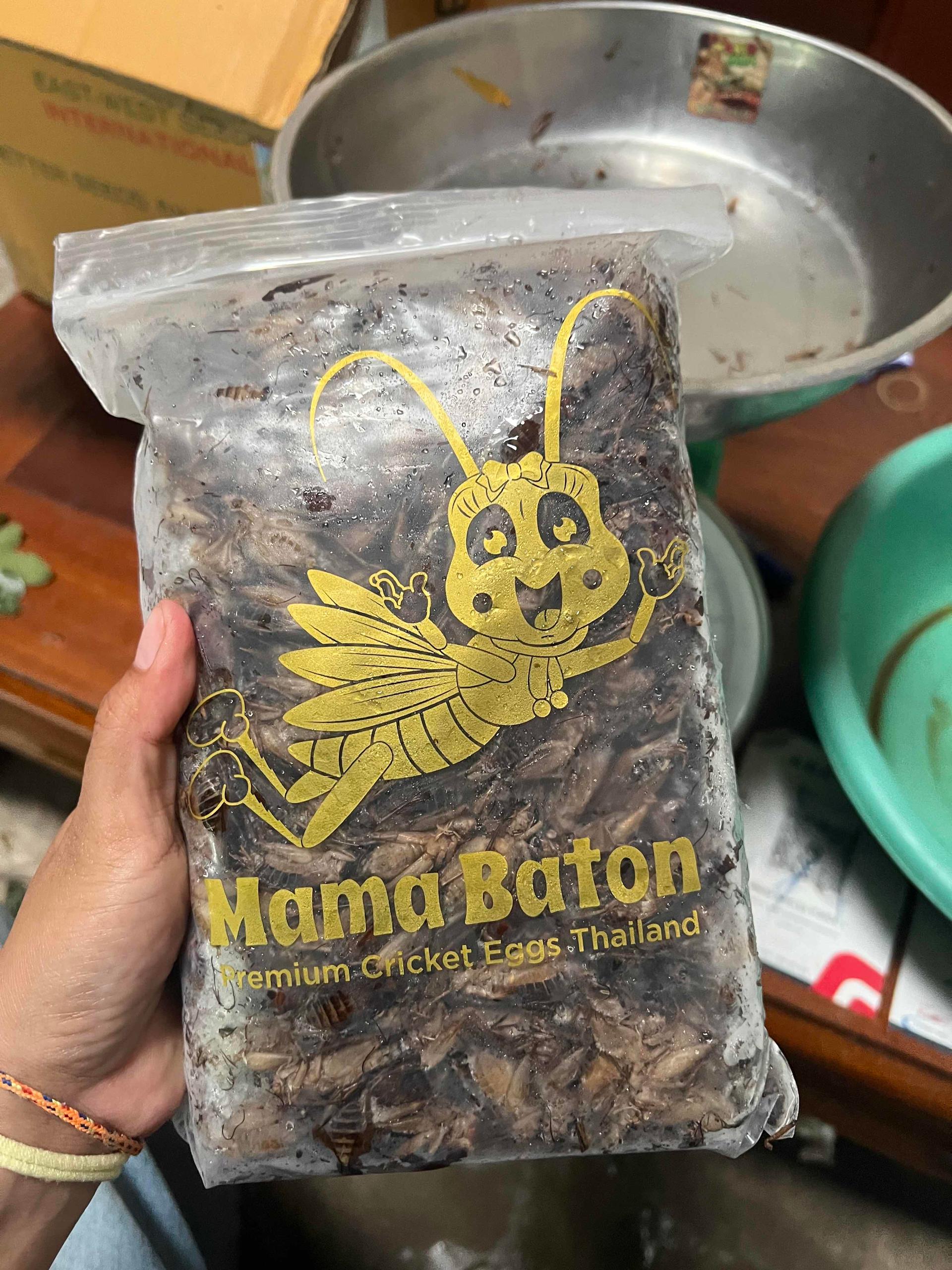 ចង្រិត​សពង100%ប្រែនMaMa Baton