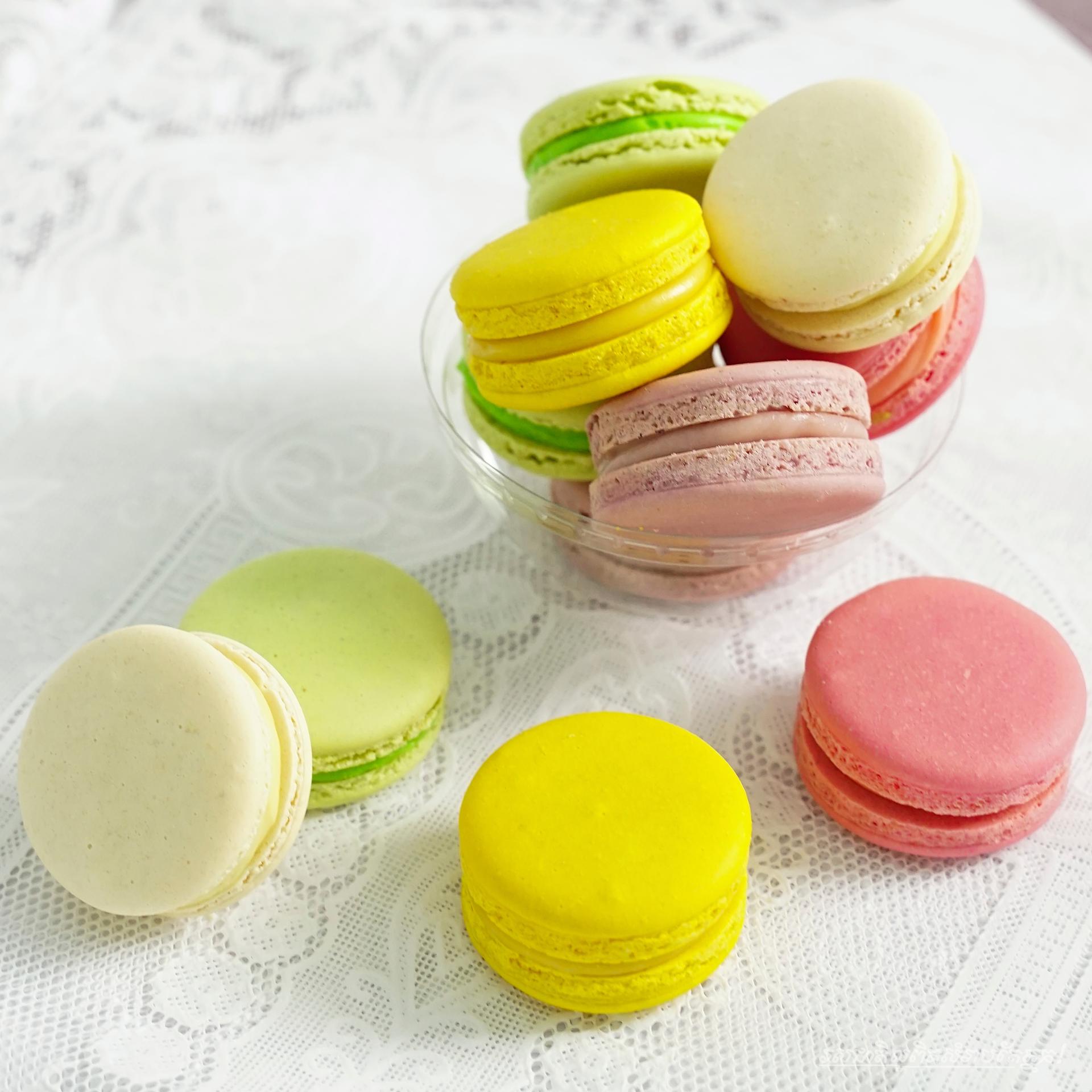 Bayon Macaroon 1pcs