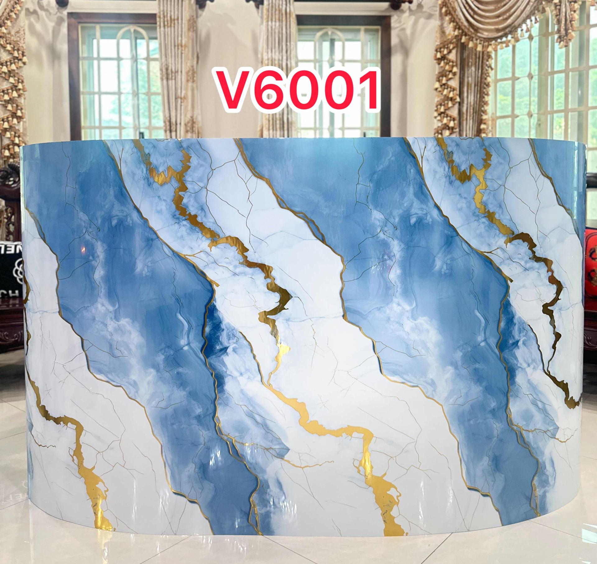V6001