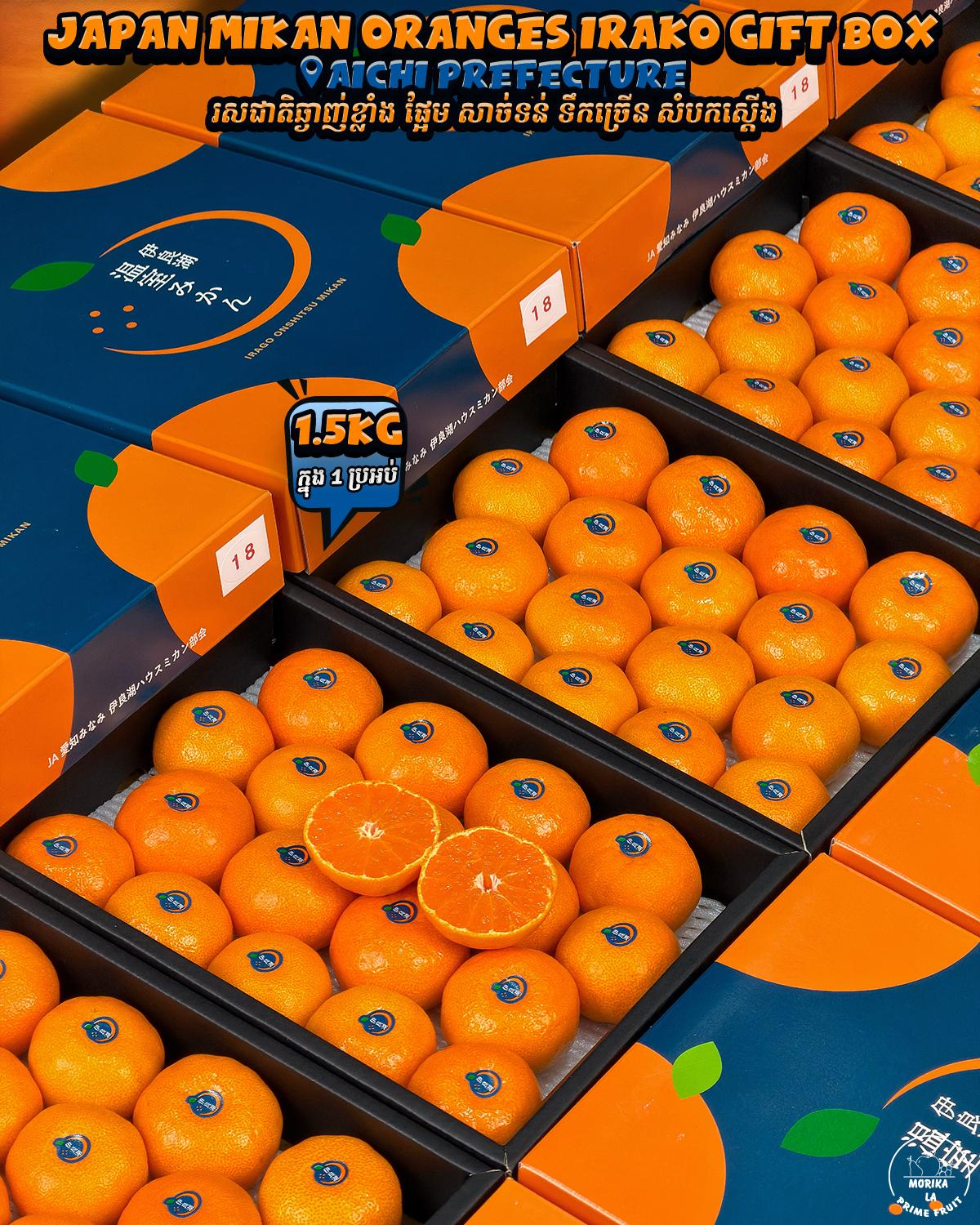 Japan Mikan Irako 1.5kg Gift Box