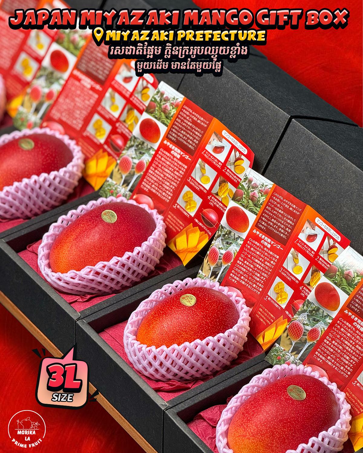 Japan Mango 1pc Black Gift Box