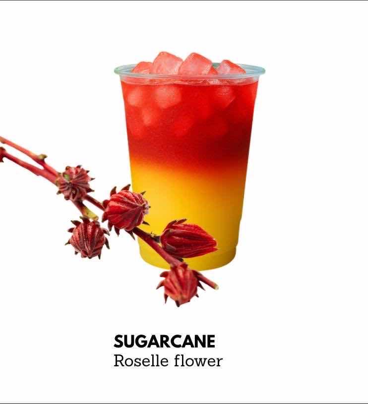 Sugarcane Roselle flower