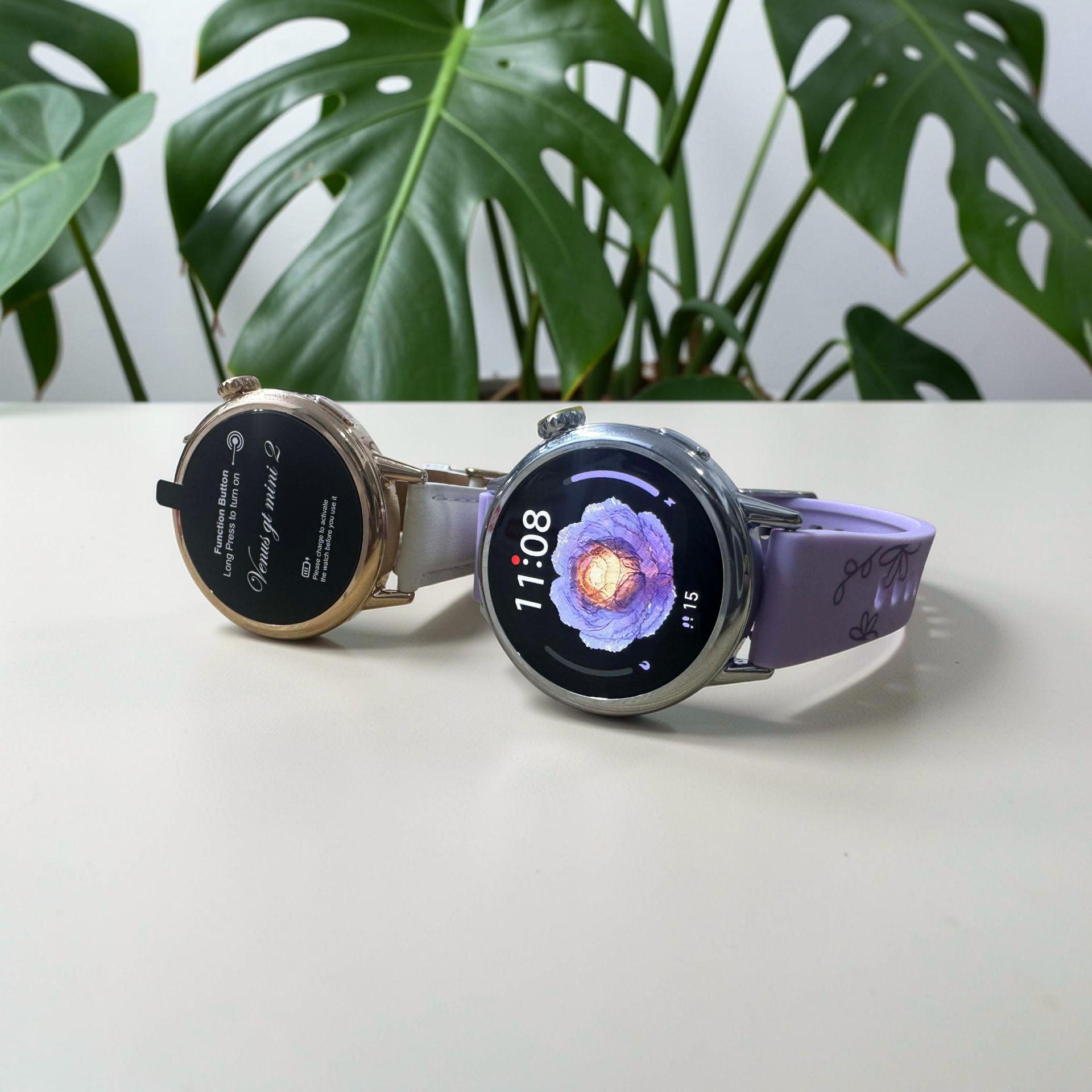 Venus GT mini 2