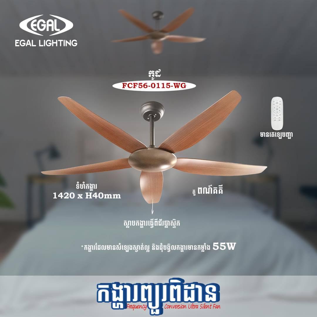 កង្ហាលស្លាបដែក