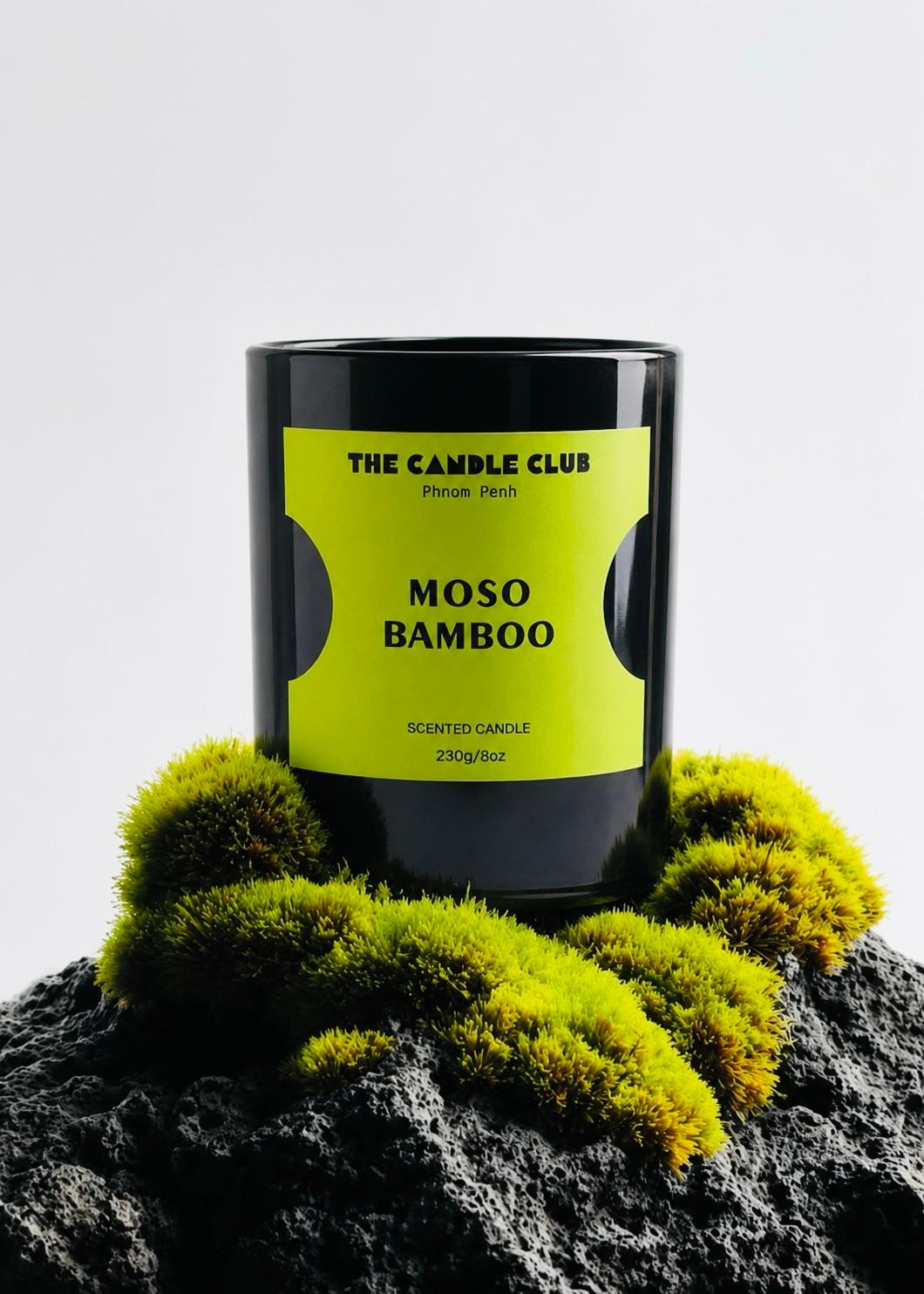 Moso bamboo