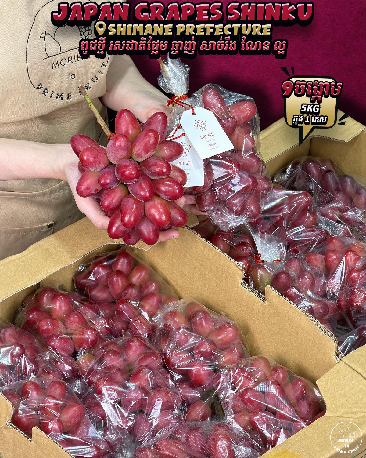 Japan Grapes Shinku #9