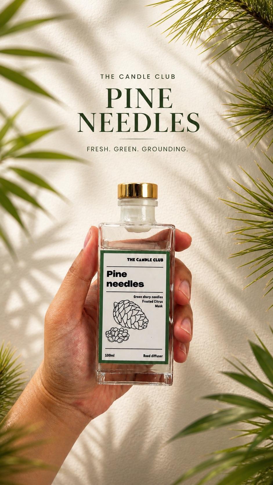 Pine needles Reed diffuser 100ml