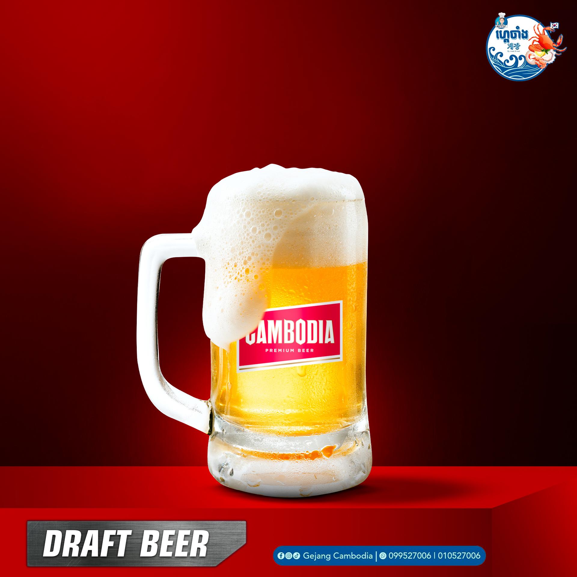 Draft