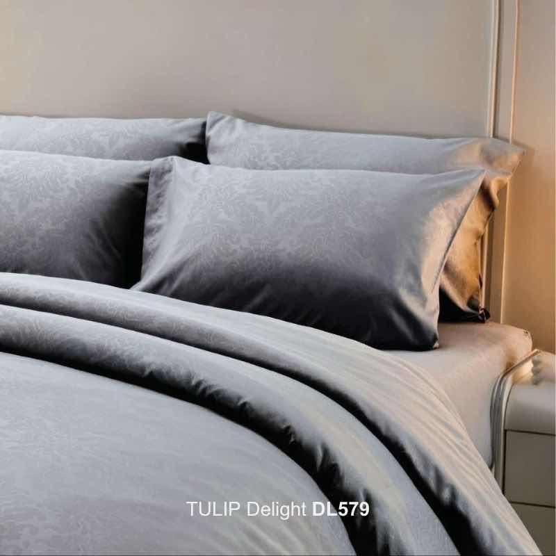 TULIP Delight DL579