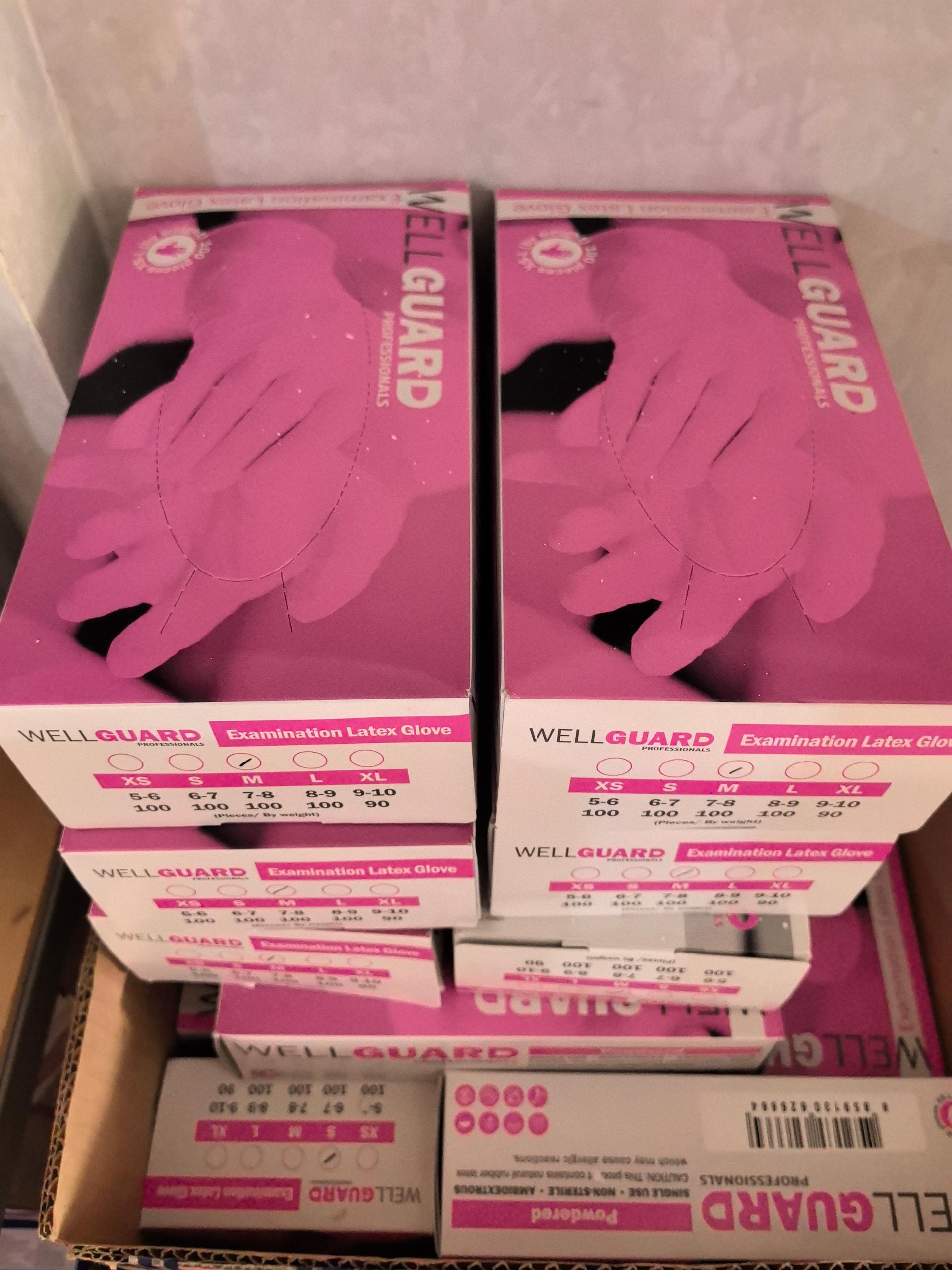 Wellguard S Latex Glove 100pcs