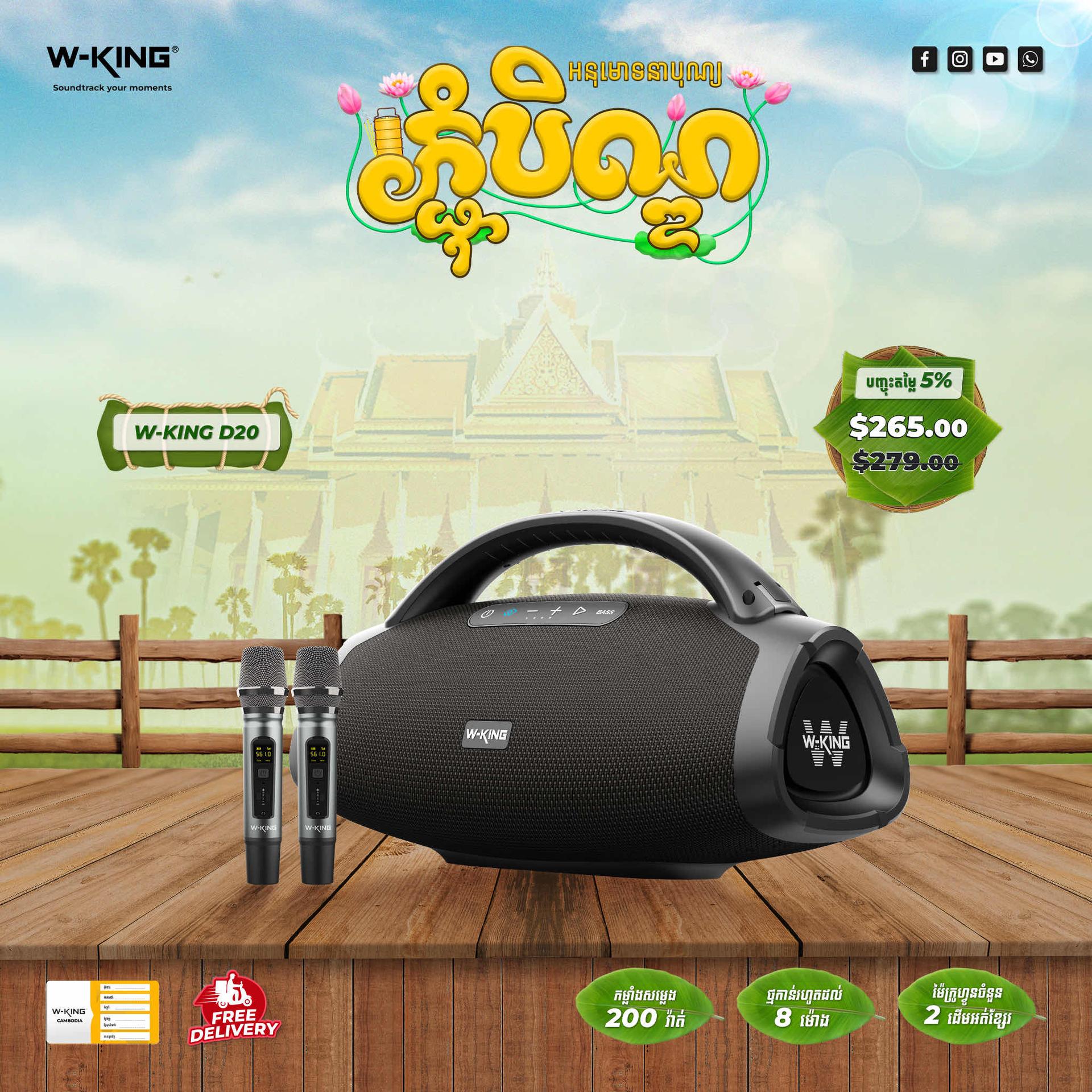 W-King D20 200W